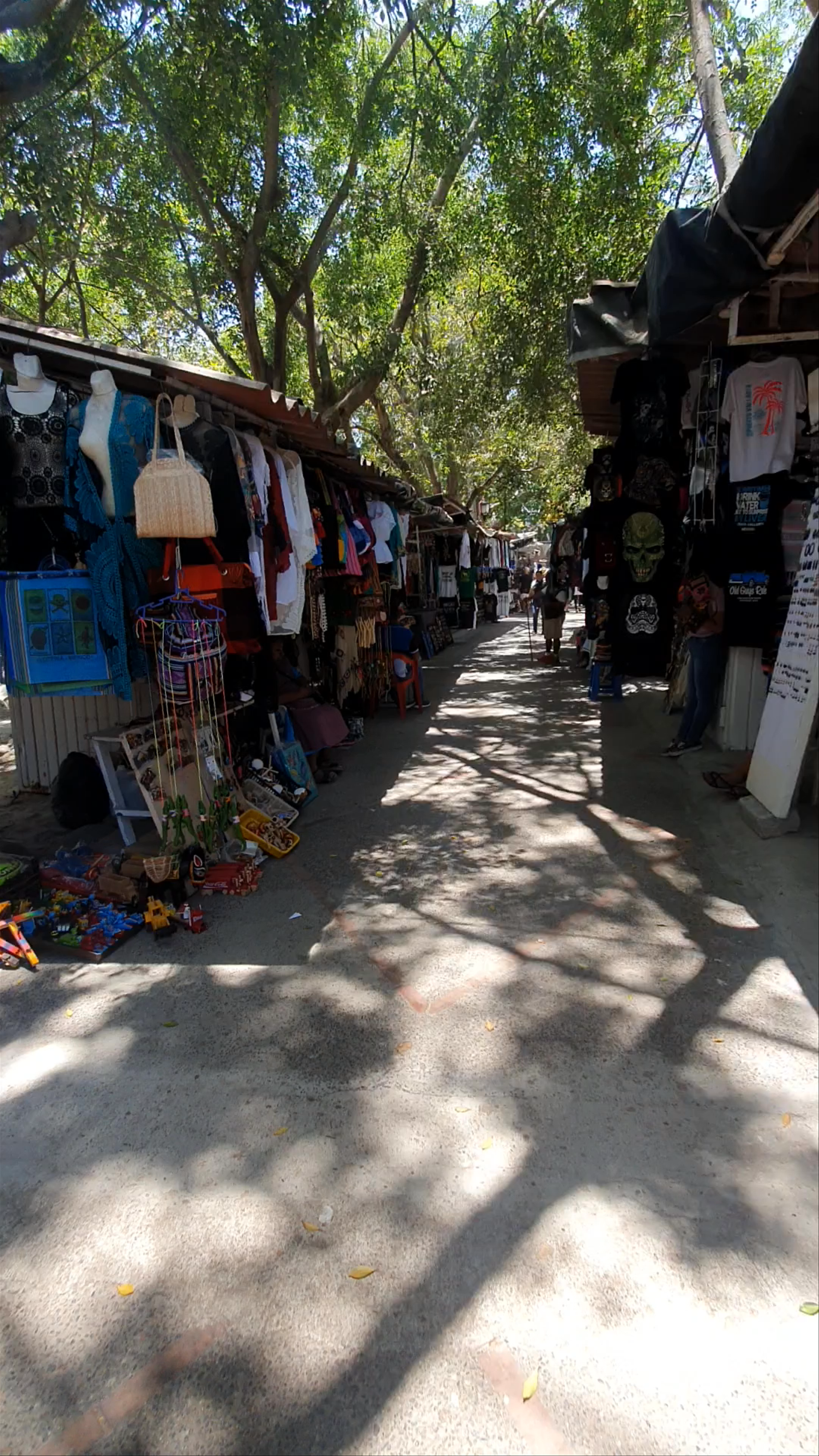 Cuale Island Flea Market