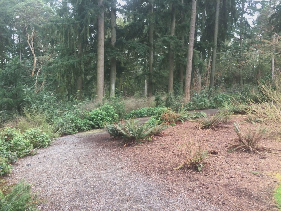 Bridle Trails Corner Park - Trail - Parks Near Me - Bellevue, Washington