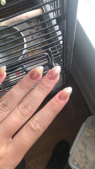 Att Nails & Spa - BEAUTIFUL NAILS! How were these only 35$ ???? Absolutely in love with them tbh, (iridescent pink with blue and gold sparkles ) - Nail Salons Near Me - Fairfield, Ohio