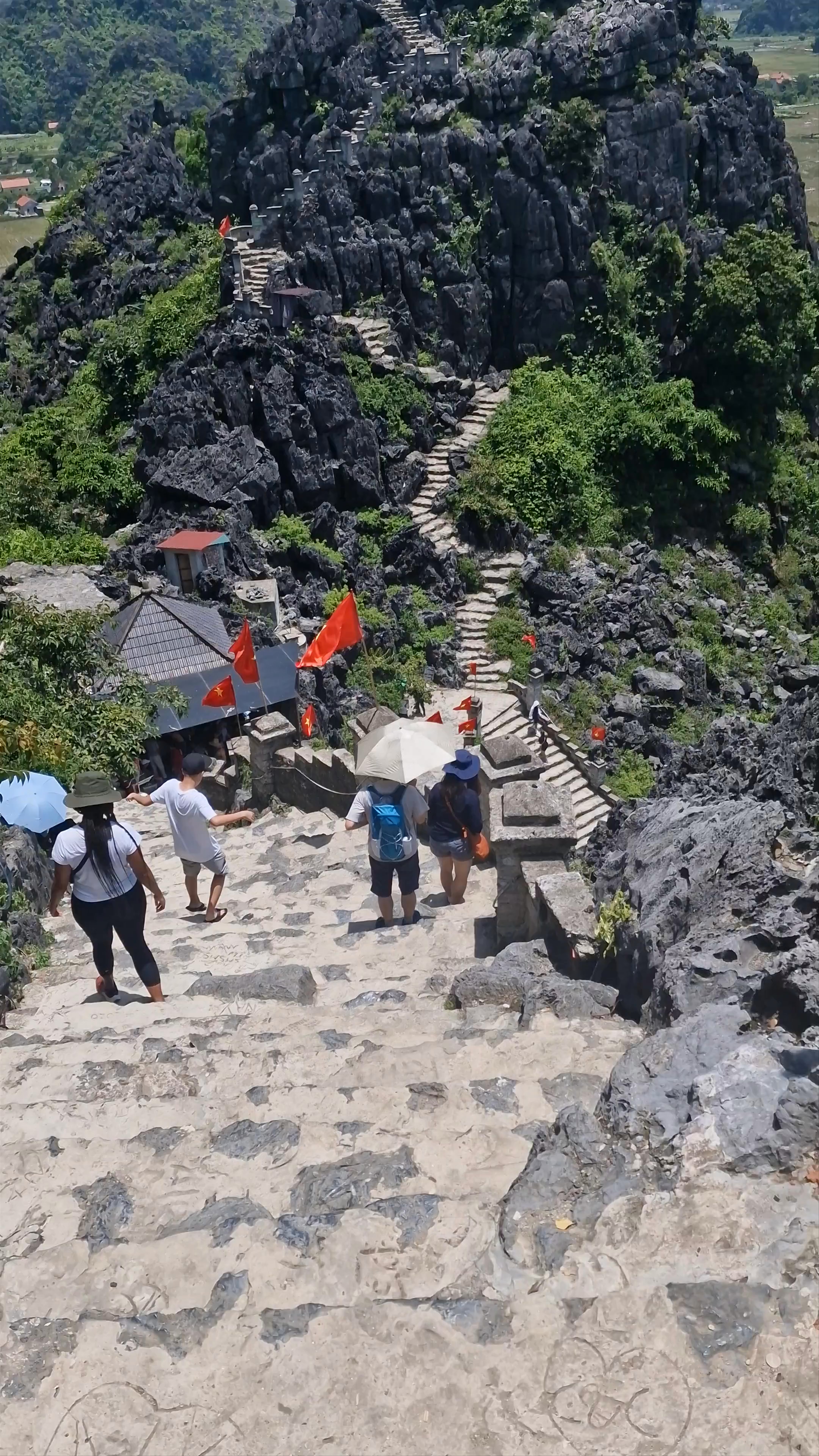 Hang Múa (Mua Caves) – Panoramic Mountain Hike in Ninh Bình, Vietnam