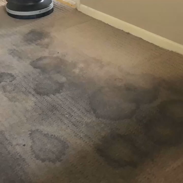 Perfect Solution Carpet Cleaning - Part 1, look at this nasty carpet!! - Carpet Cleaning Near Me