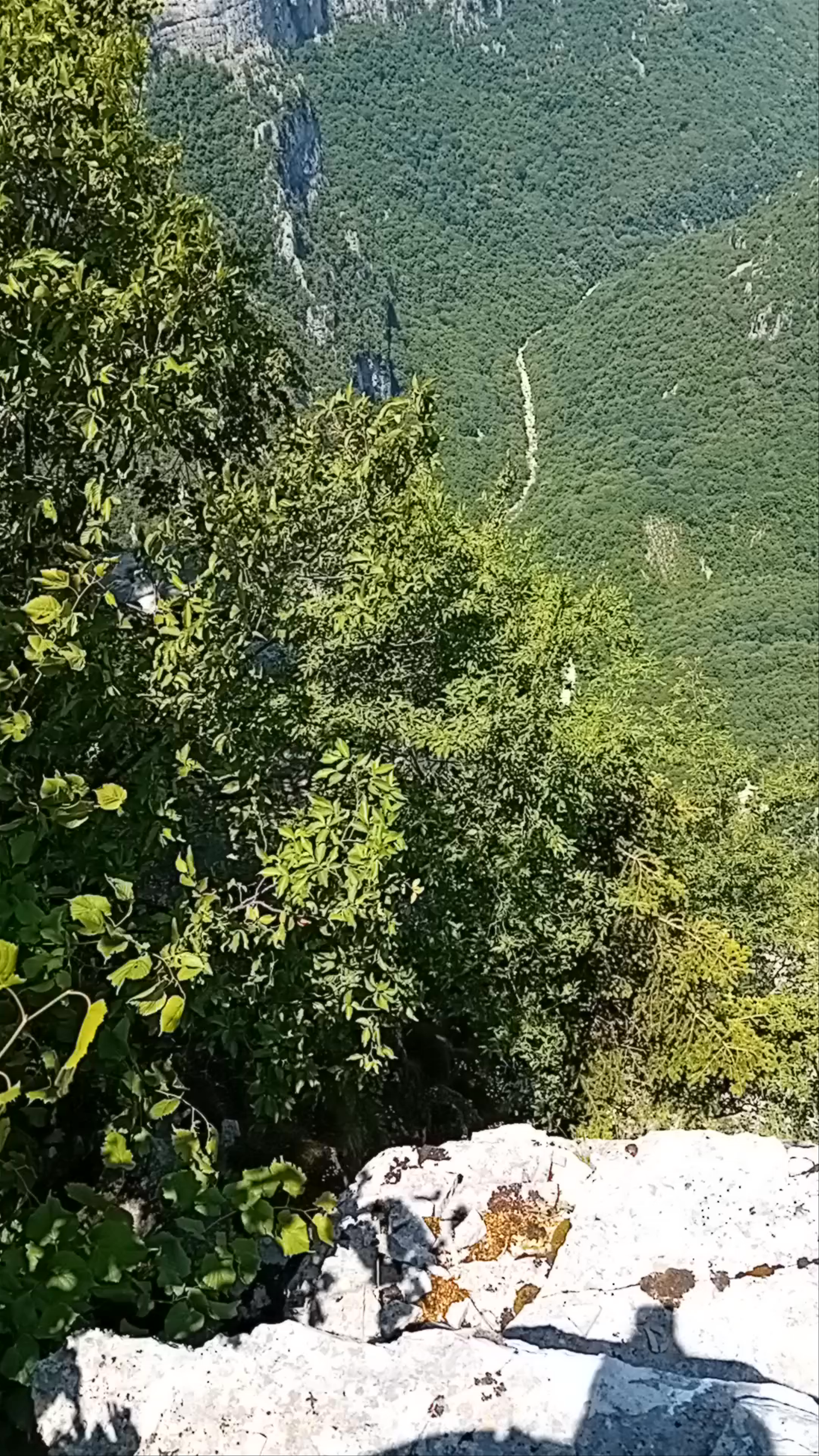 Beloi Viewpoint