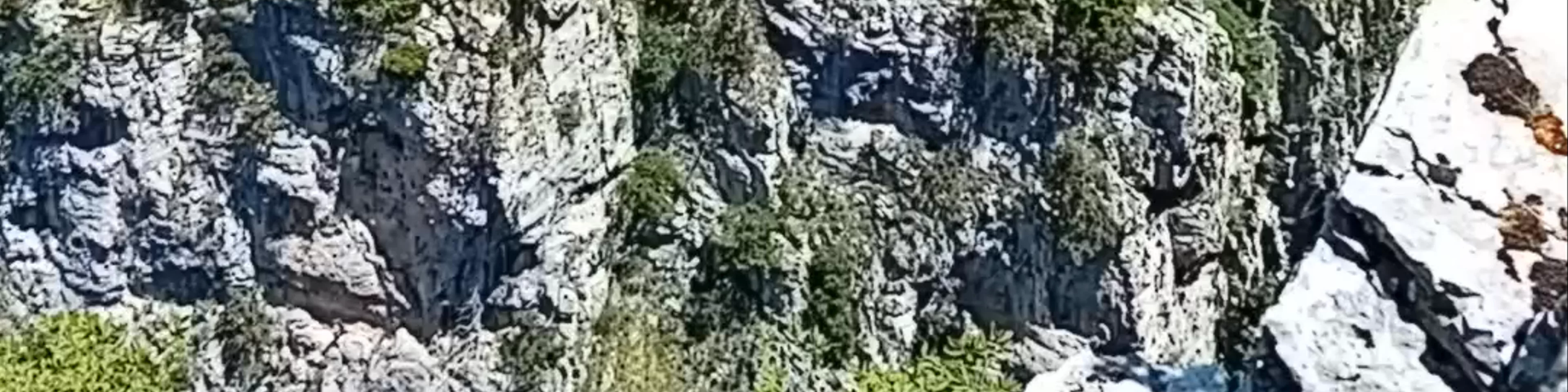 Beloi Viewpoint