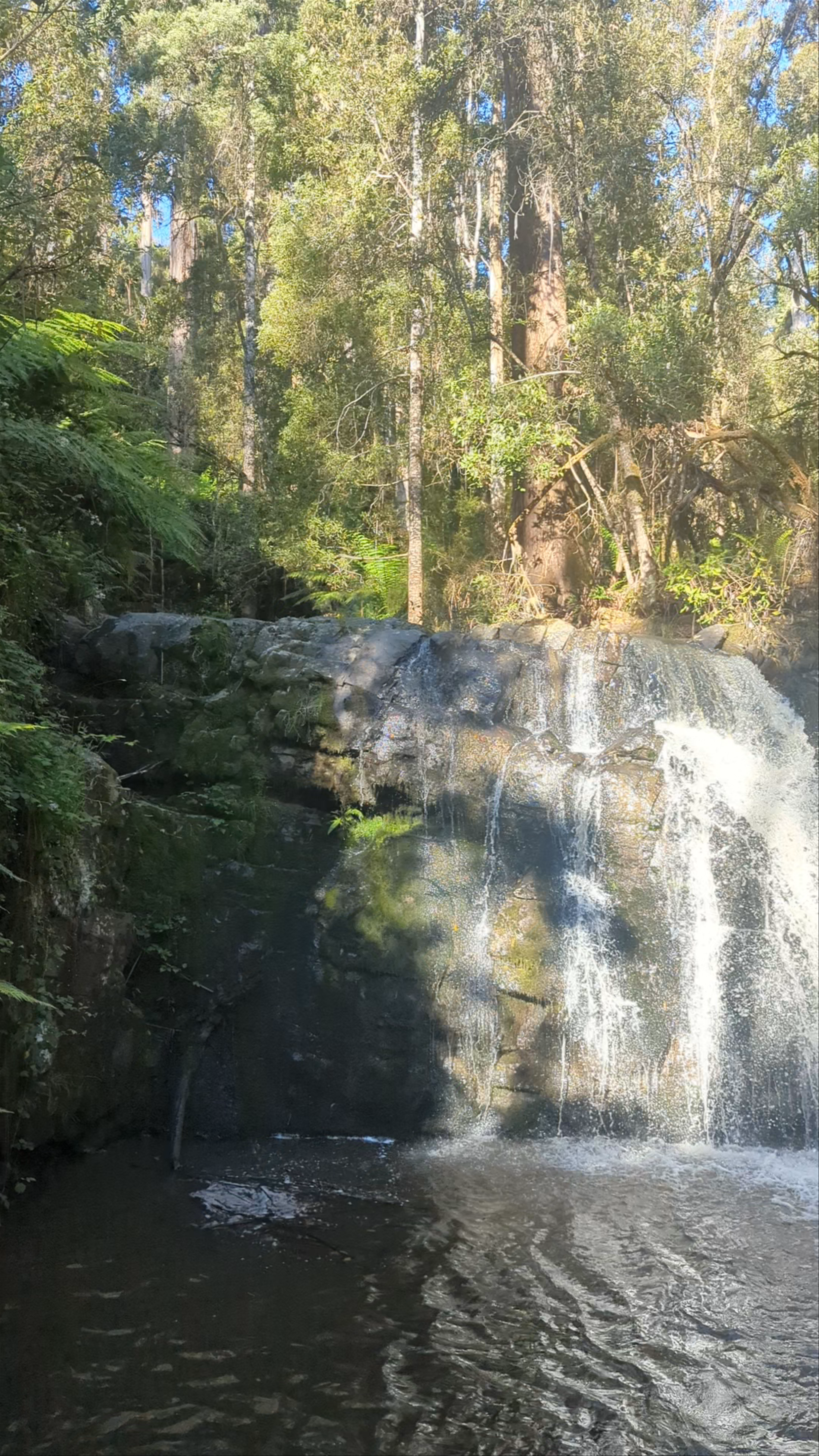 Lilydale Falls