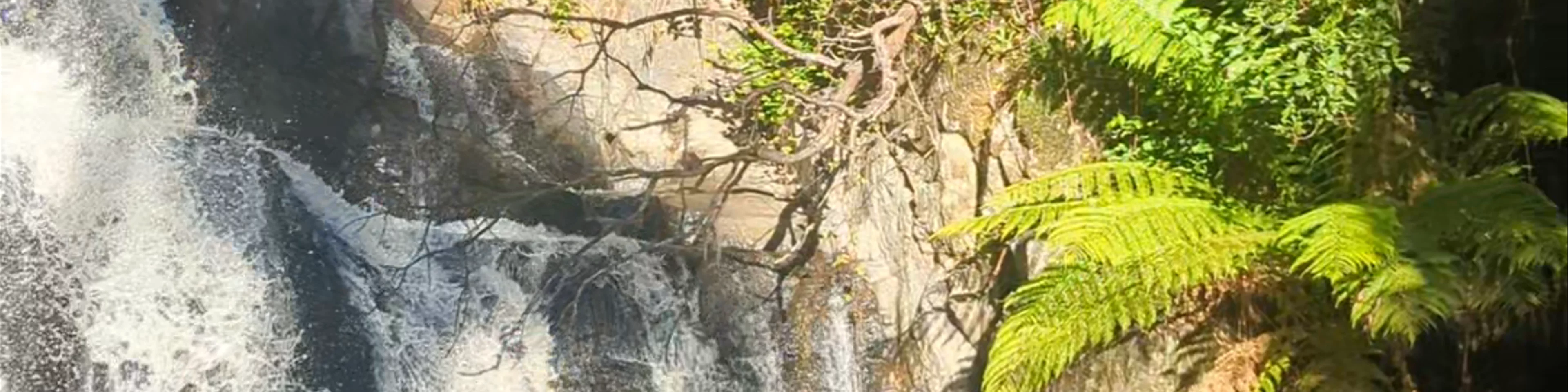 Lilydale Falls
