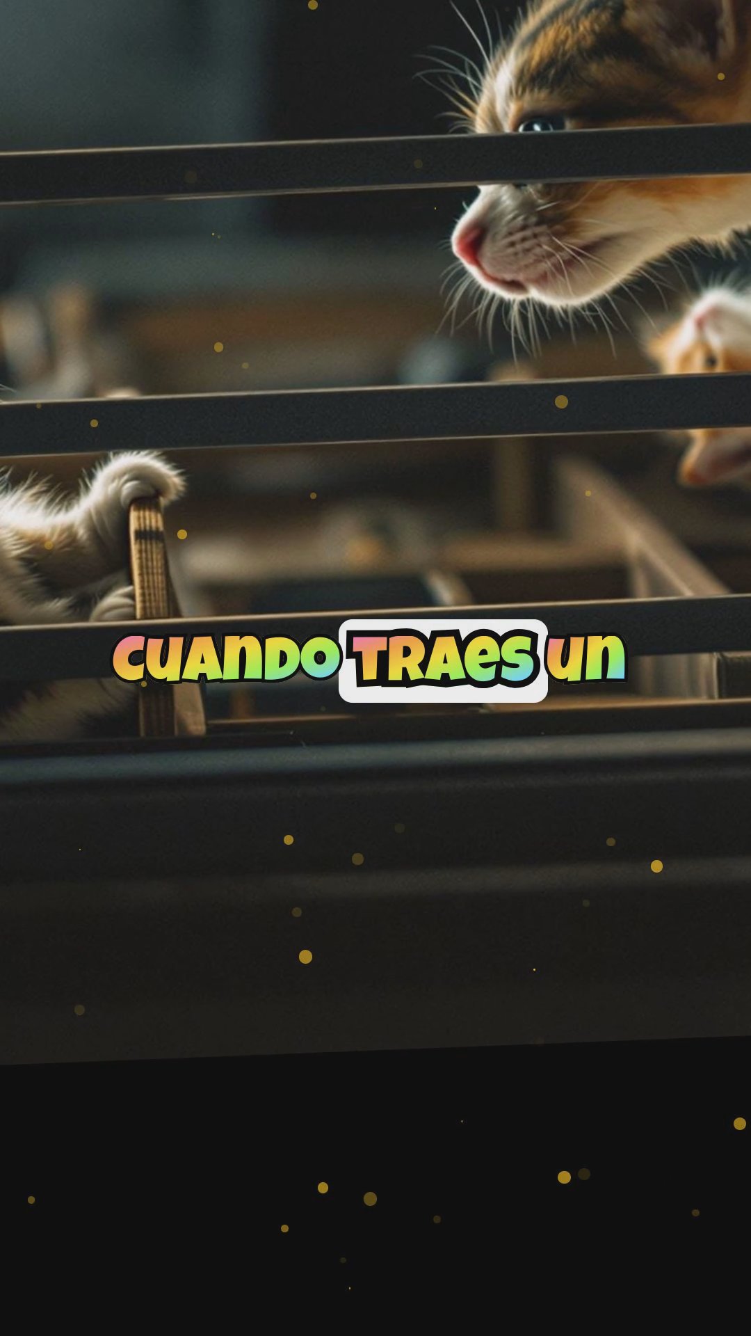 ¿Cómo lograr que un cachorro y un gato territorial se lleven bien?