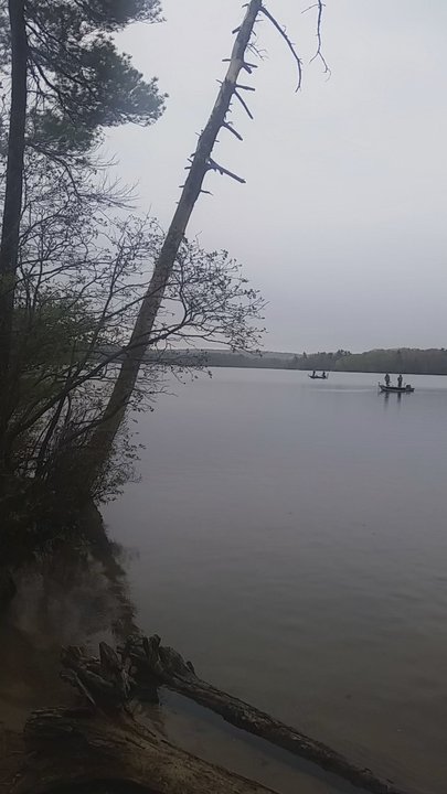 Whitehall State Park - Big lake. - Parks Near Me - Hopkinton, Massachusetts
