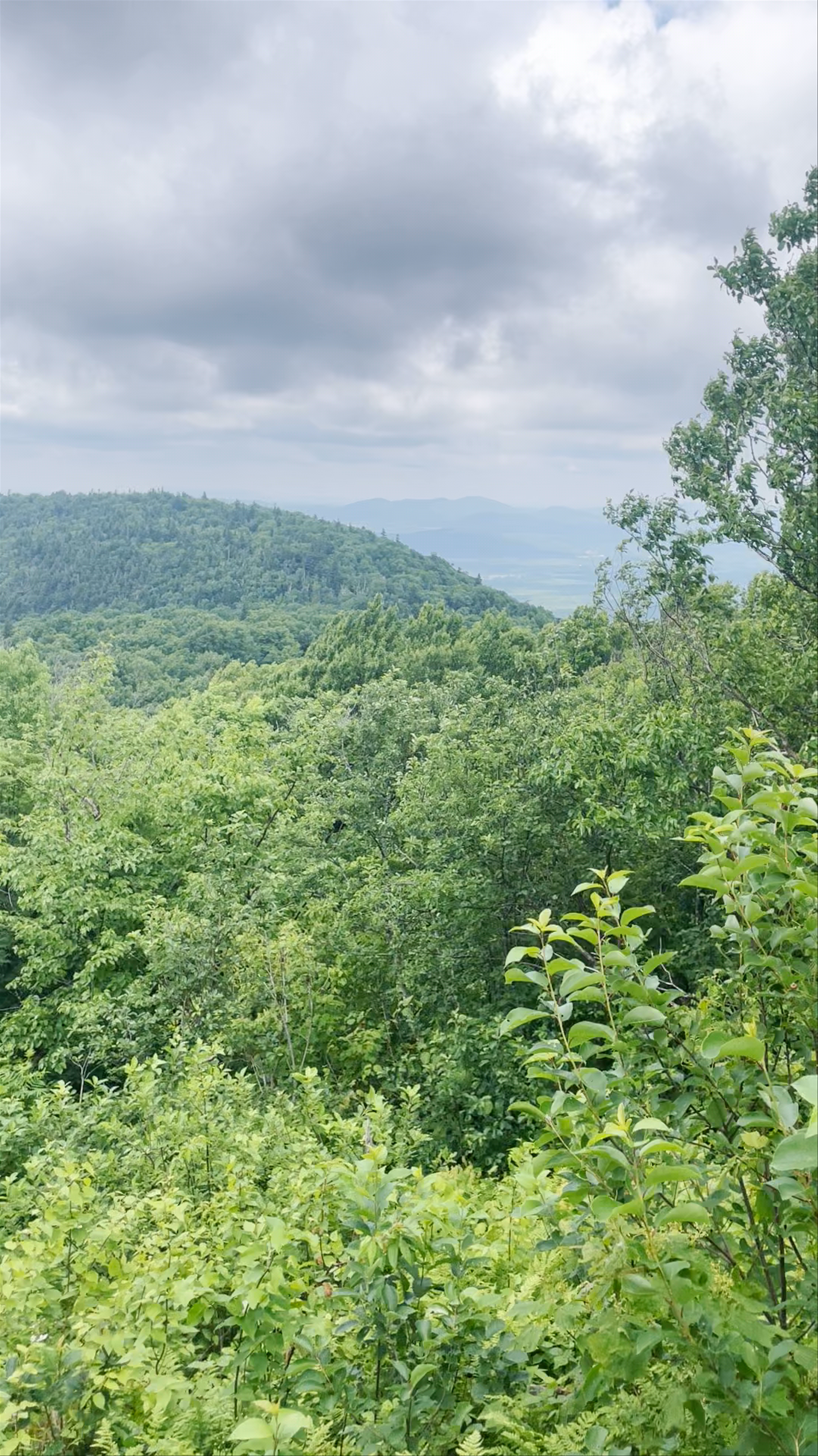 Sutton Natural Environment Park