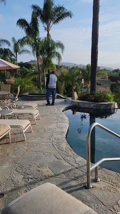 Green Bee Tree Service - Gilberto and his workers clean every area after trimming tall palm trees. Excellent work. - Tree Services Near Me - Escondido, California