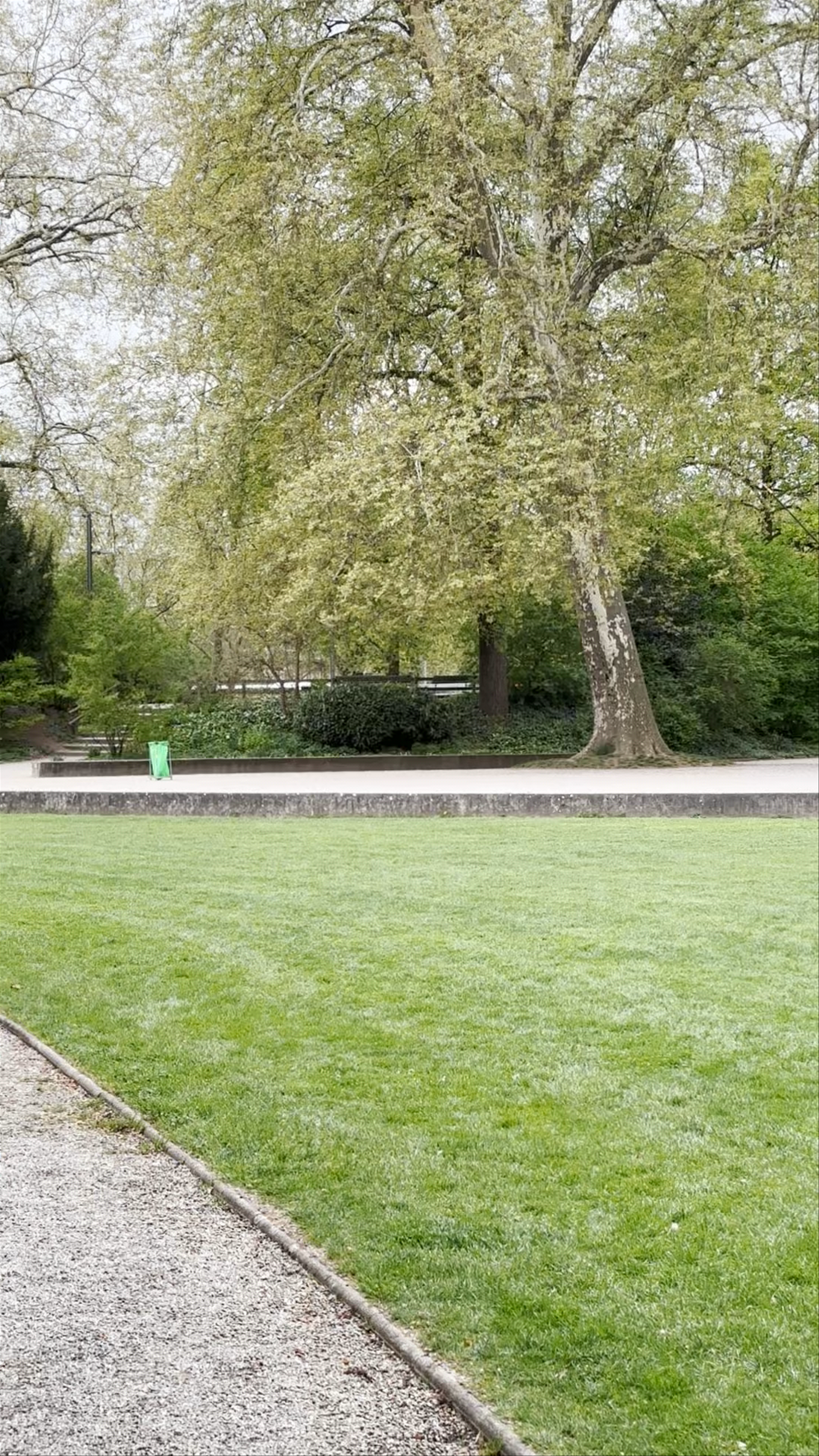 Serene Spring Moments at Platzspitz Park, Zurich