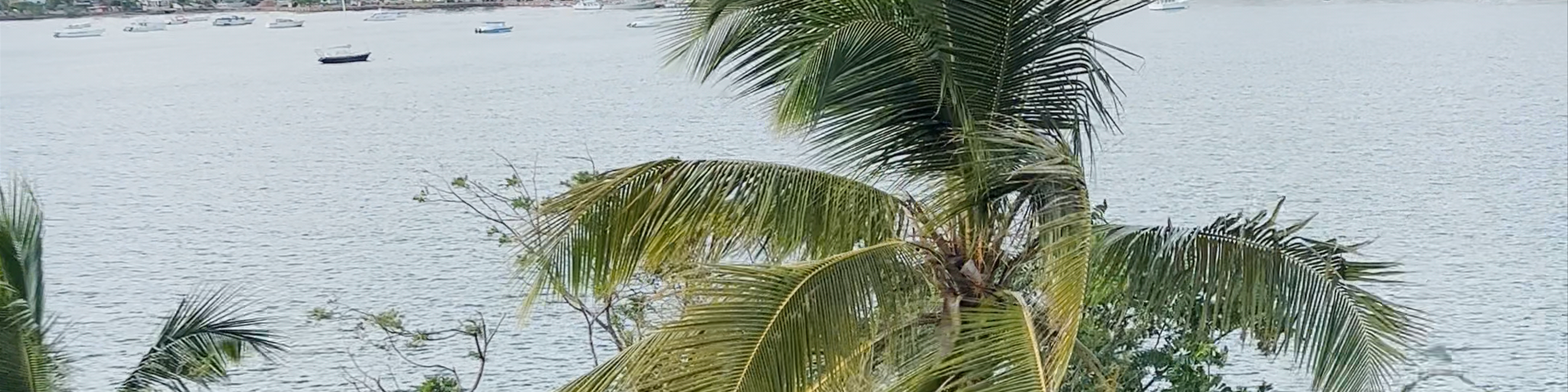 Dominican Republic