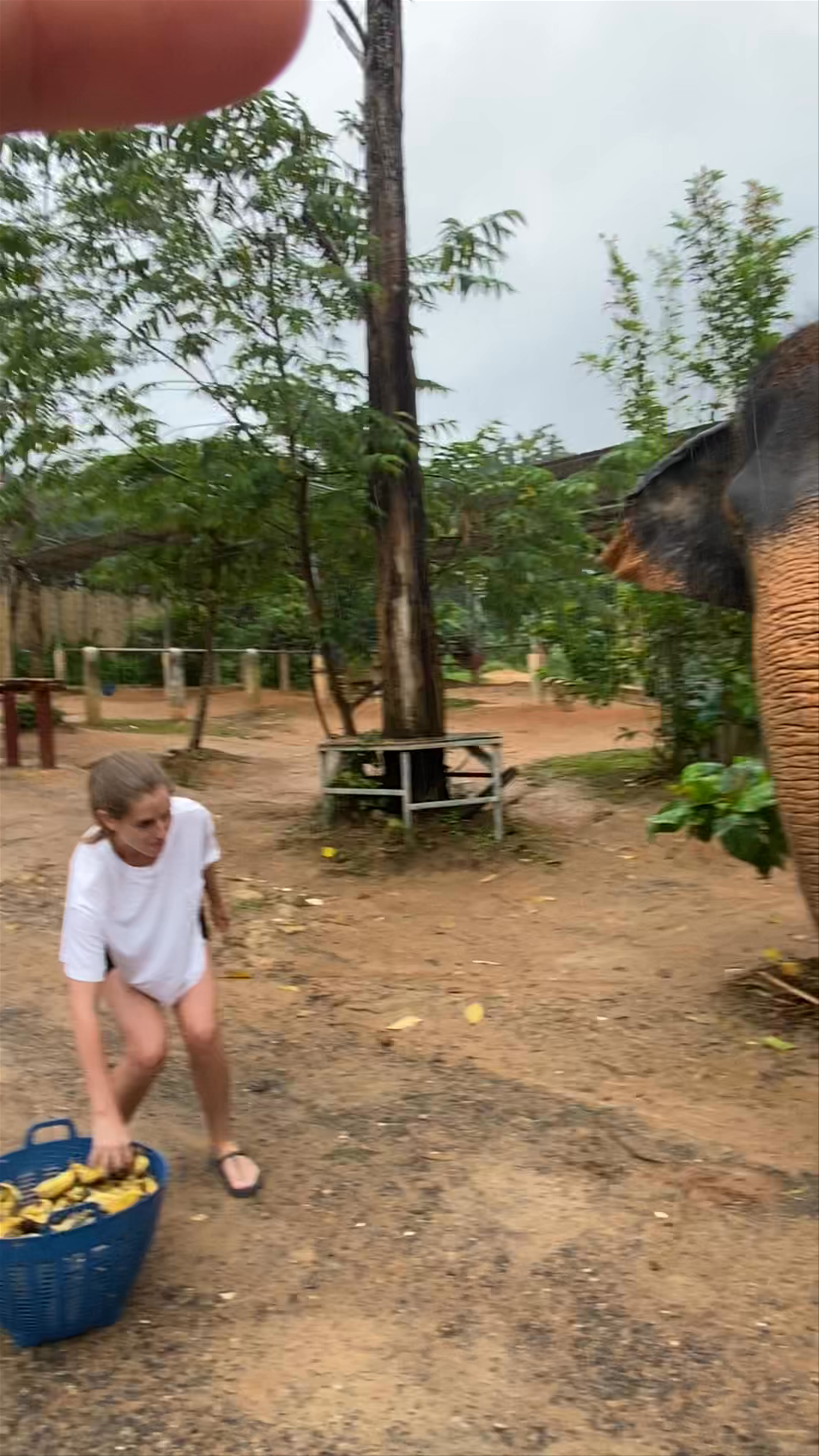 Elephant Jungle Sanctuary Kathu