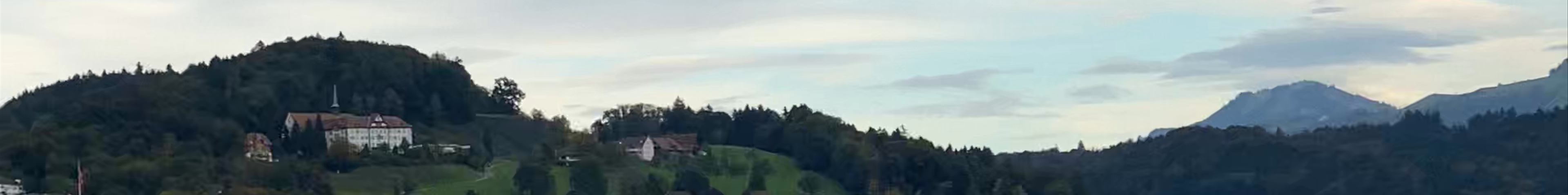 Tours & experiences in Lucerne