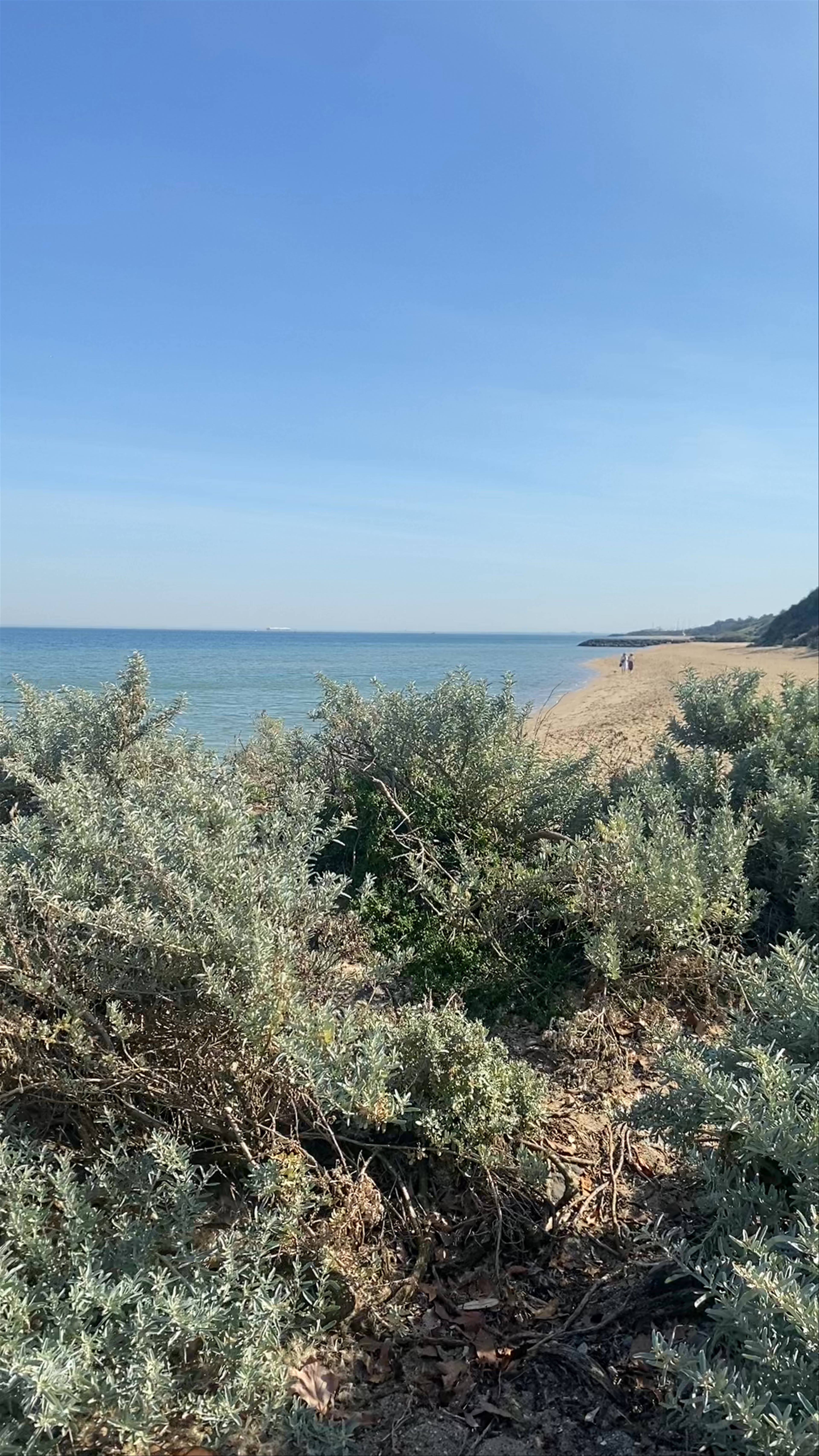 Tranquil Shores at Sandringham Beach, Victoria, Australia