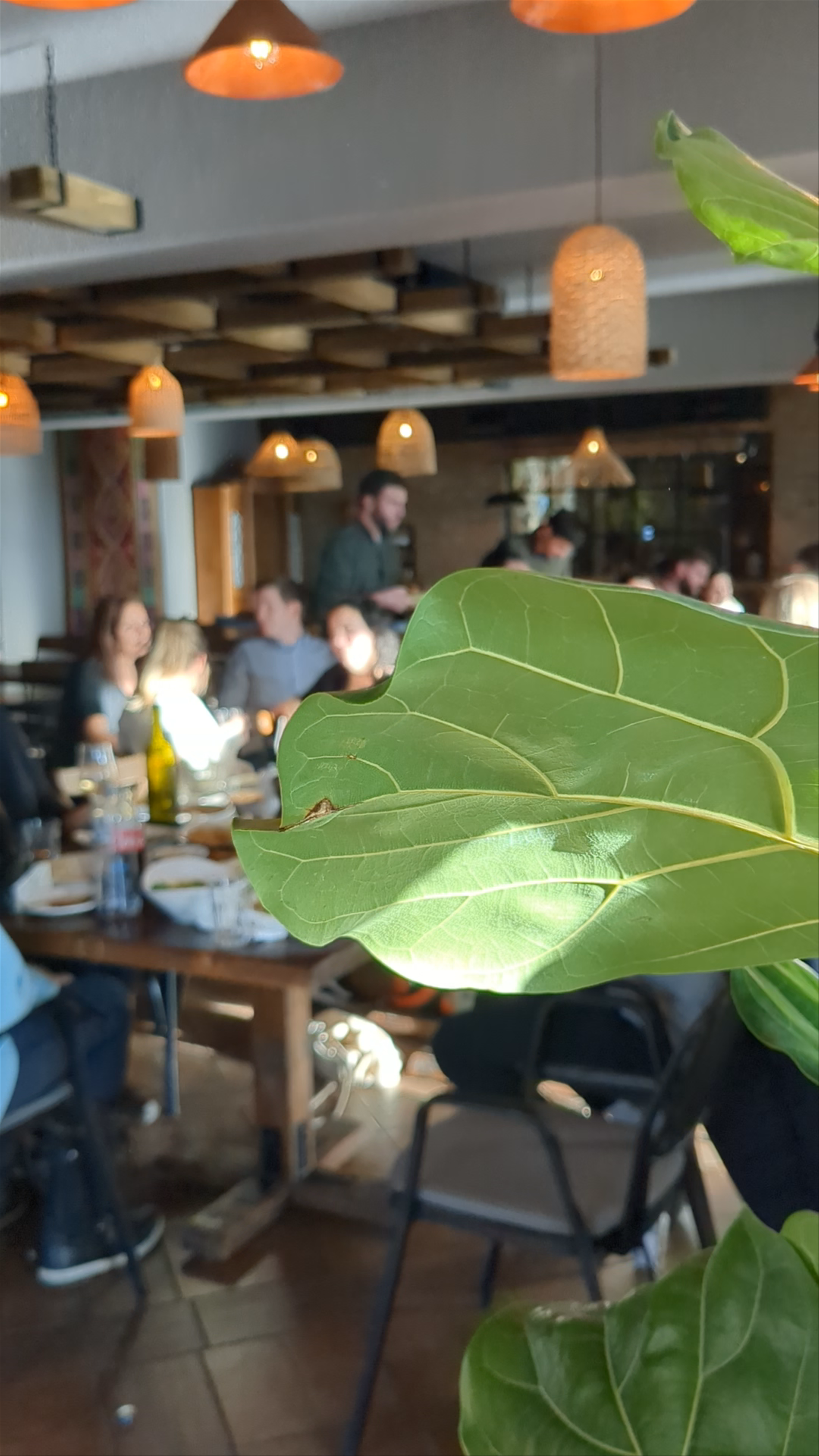 Dergi • დერგი