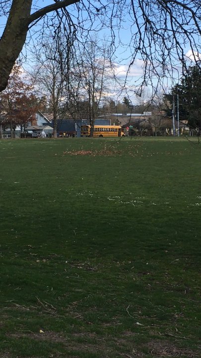 Rainier Beach Playfield - 03/20/18: Mini Leaf Tornado (first Day of Spring) - Parks Near Me - Seattle, Washington