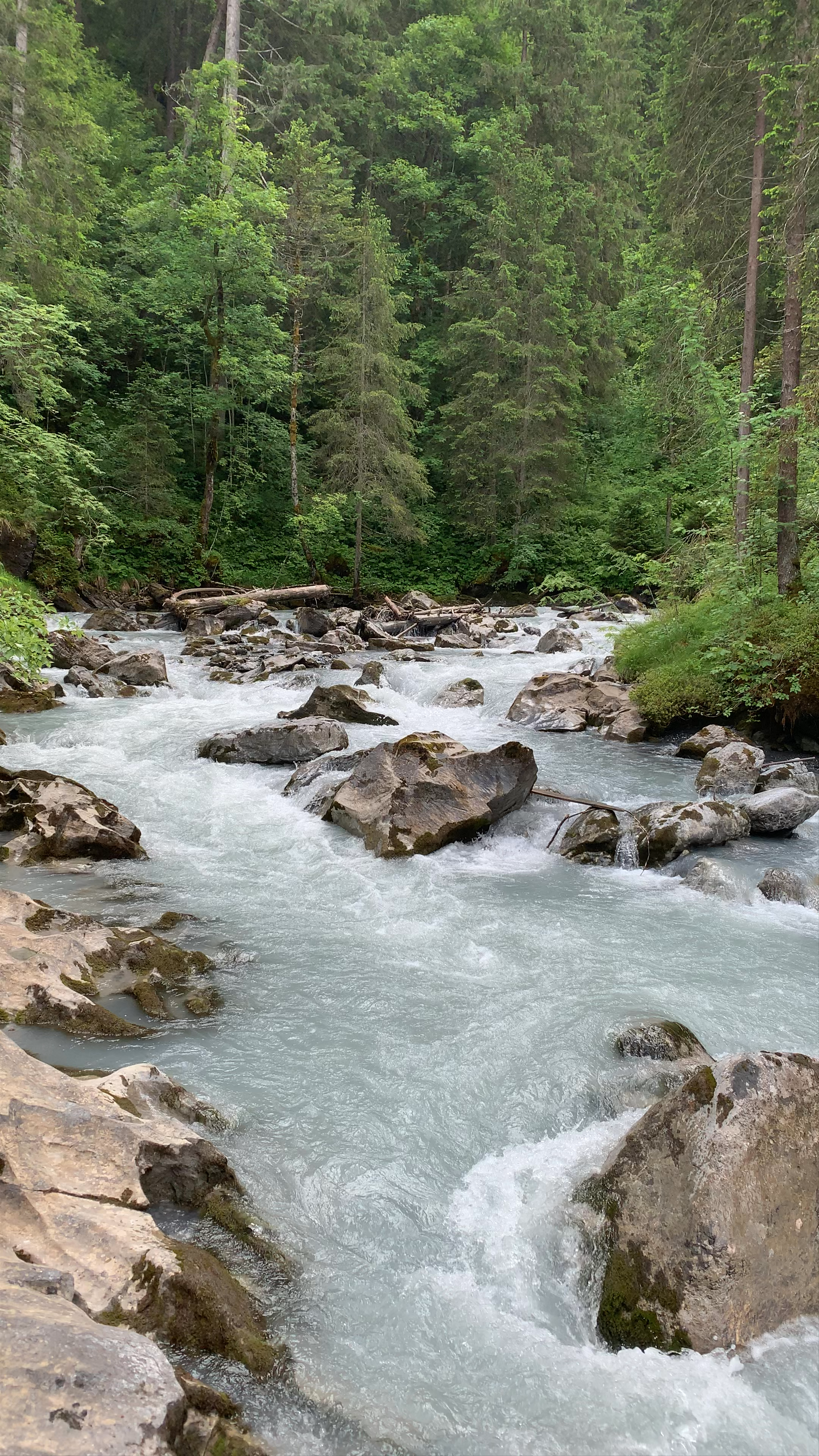 Griesalp Wilderness River Flow in Swiss Alps