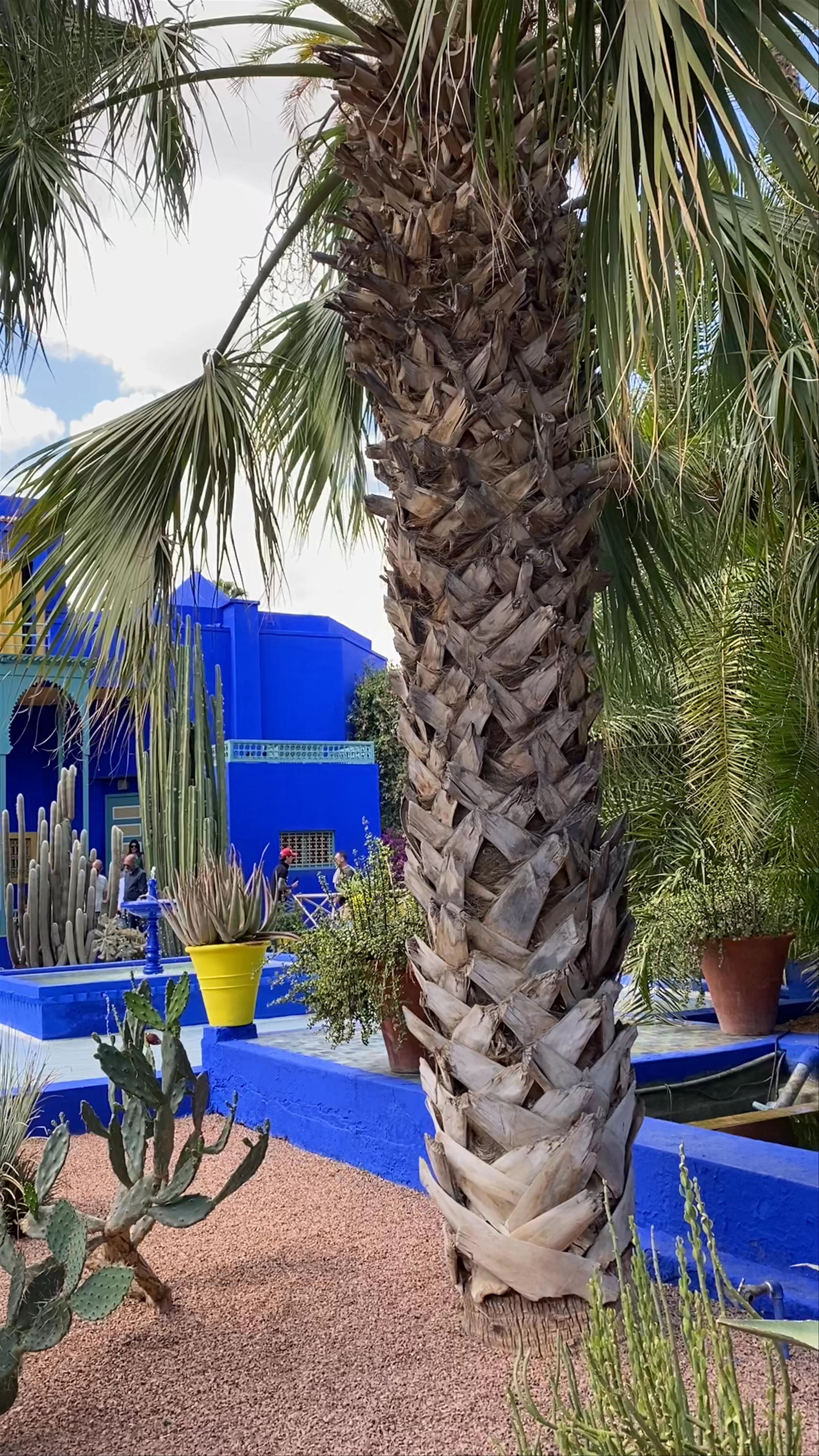 Jardin Majorelle, Rue Yves Saint Laurent