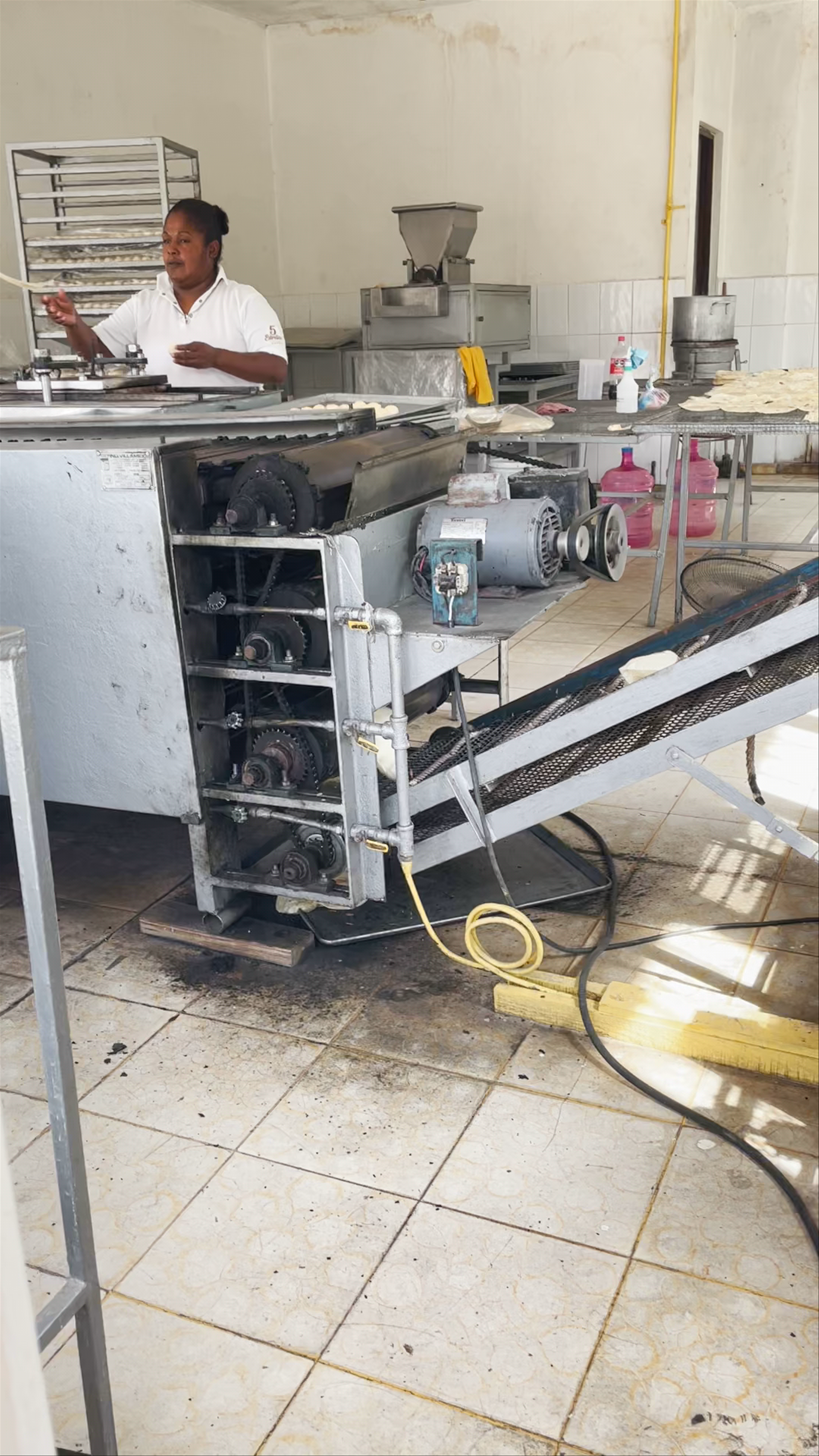 Artisanal Flour Tortilla Making in Cabo San Lucas