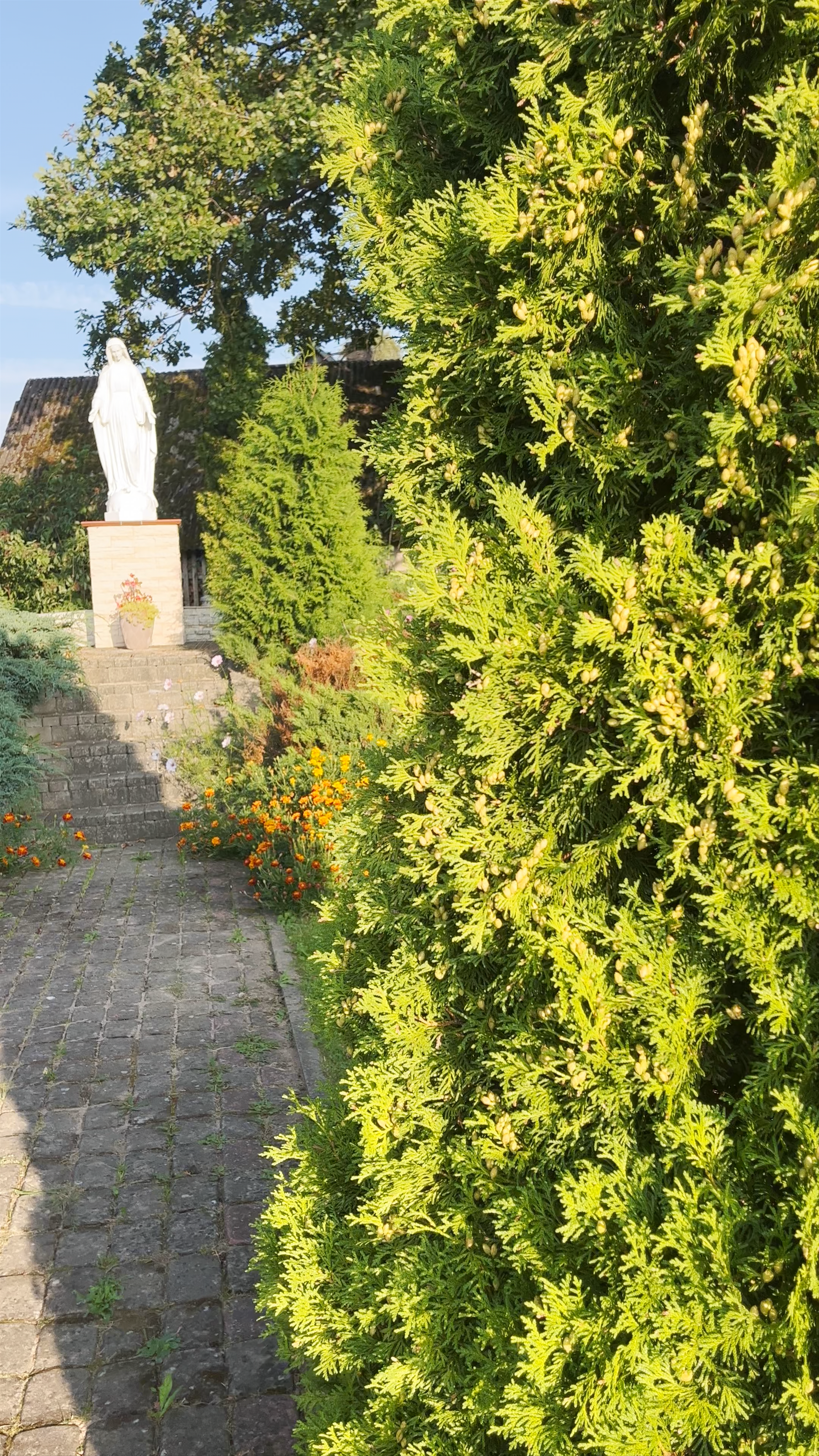 St. Anthony’s Roman Catholic Church