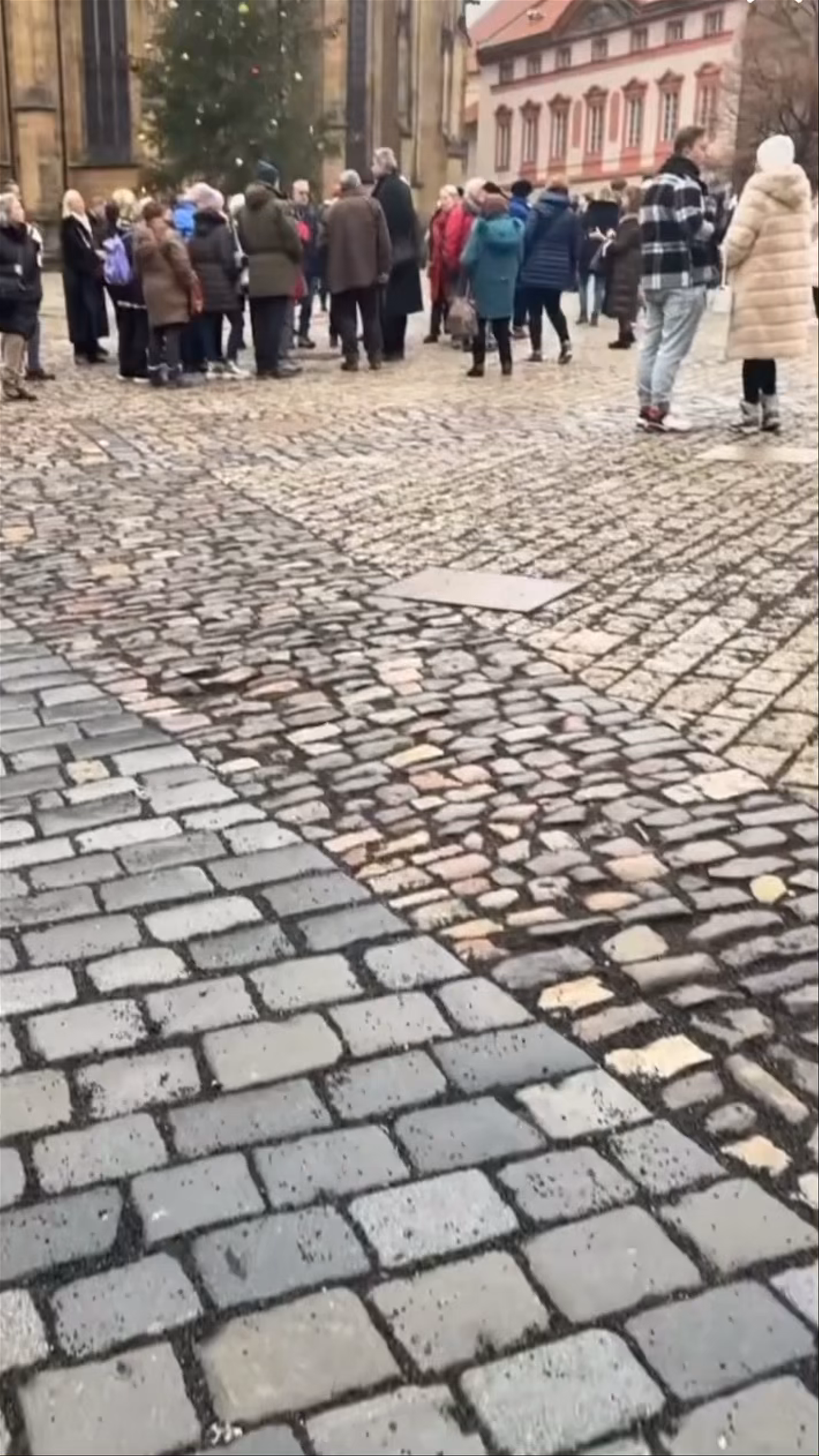 Catedral de San Vito