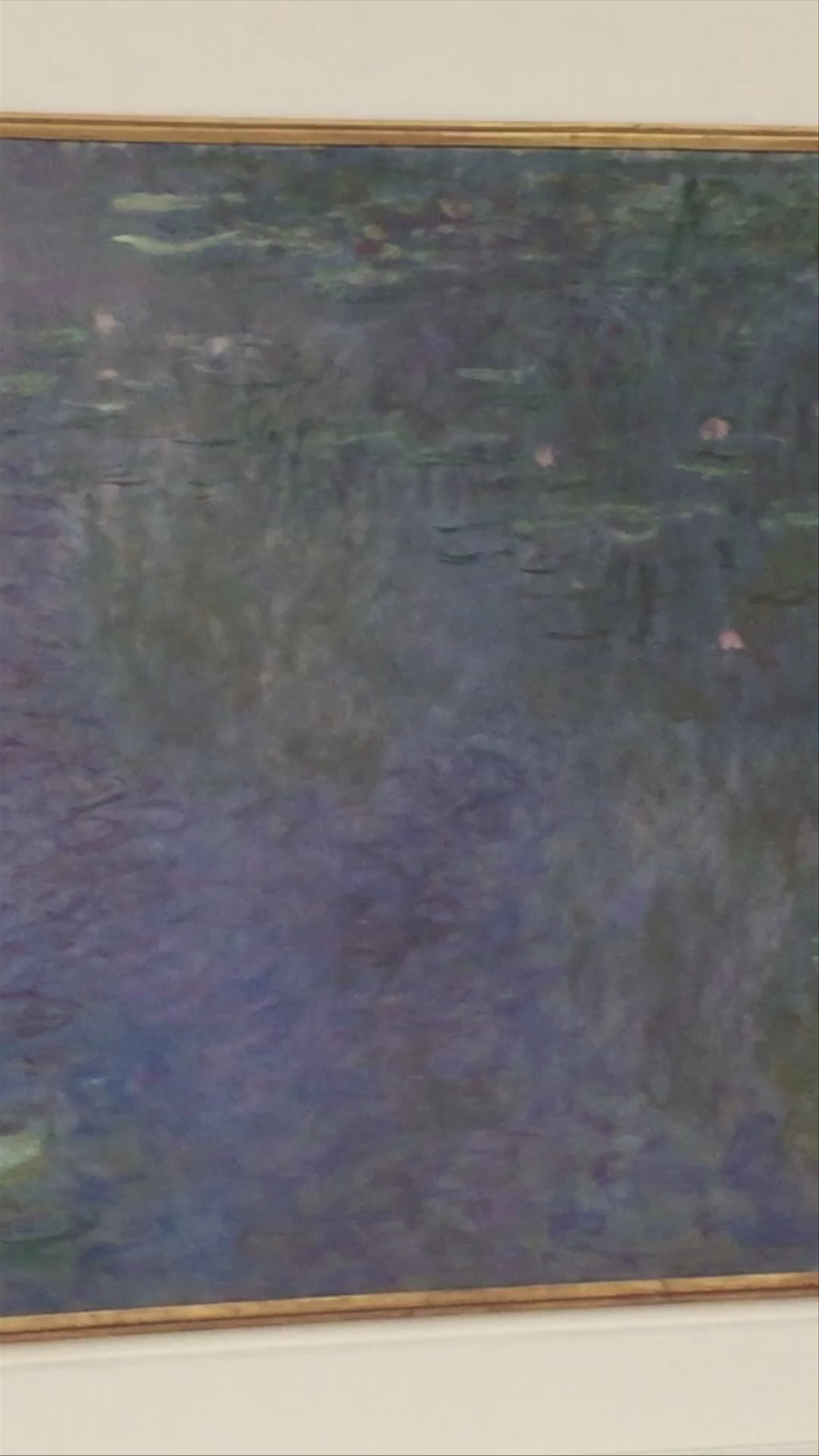 Discover Monet’s Water Lilies at Musée de l'Orangerie, Paris