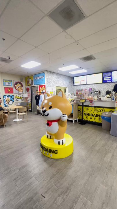 Shibainc Cafe - Bubble Tea Near Me - Sacramento, California