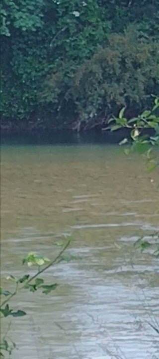 Fishermans Bend - A small clearing where the water from the santiam River held a quiet place to rest and get your mind right. - Campgrounds Near Me - Mill City, Oregon