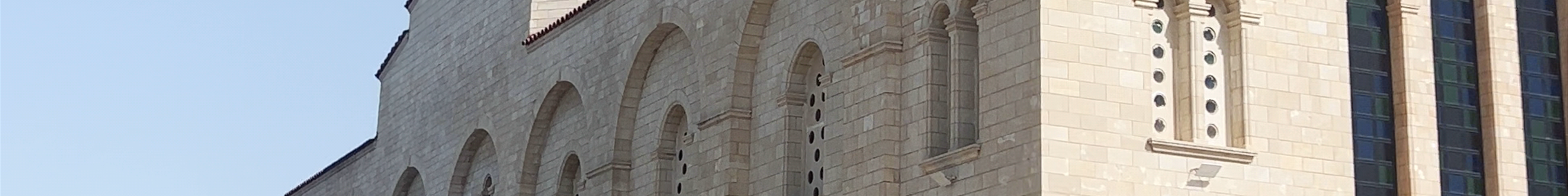 Tours & experiences in Paphos