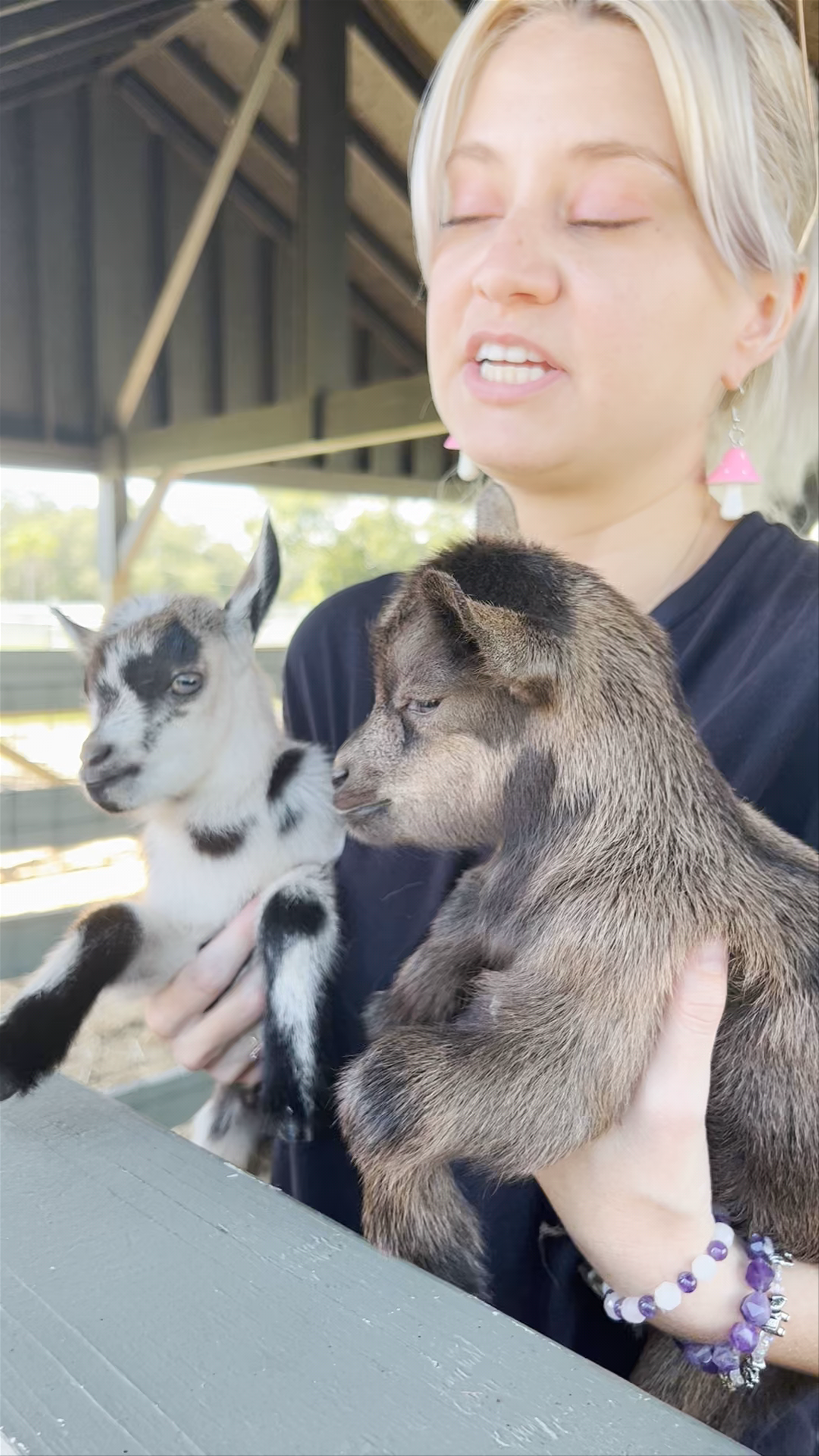 Goat Yoga At Alaska Farms in Orlando, Florida