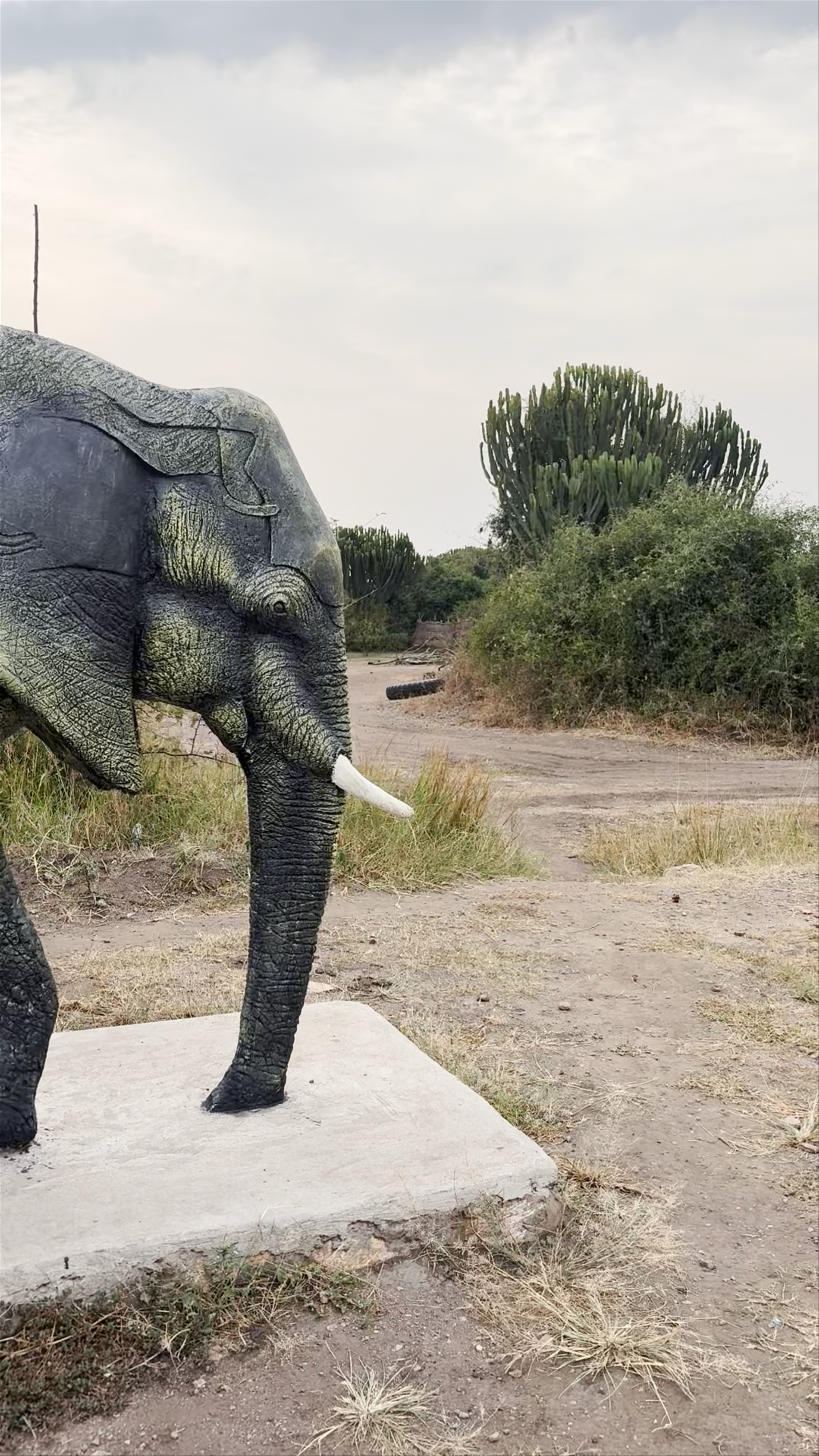 Queen Elizabeth National Park Gate