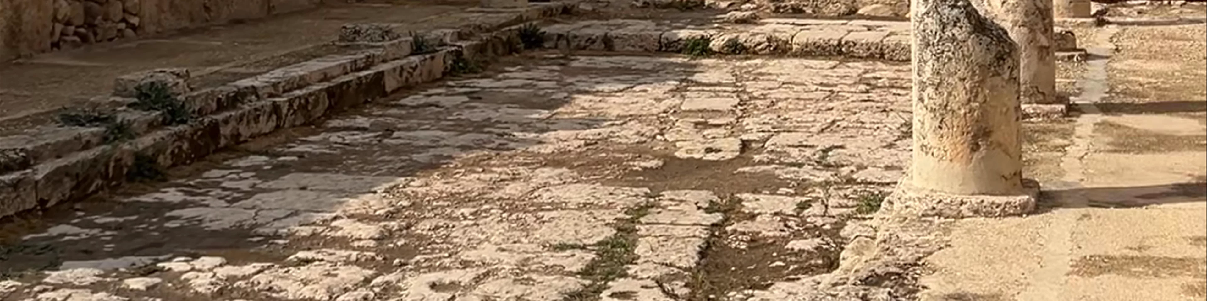 Umayyad House