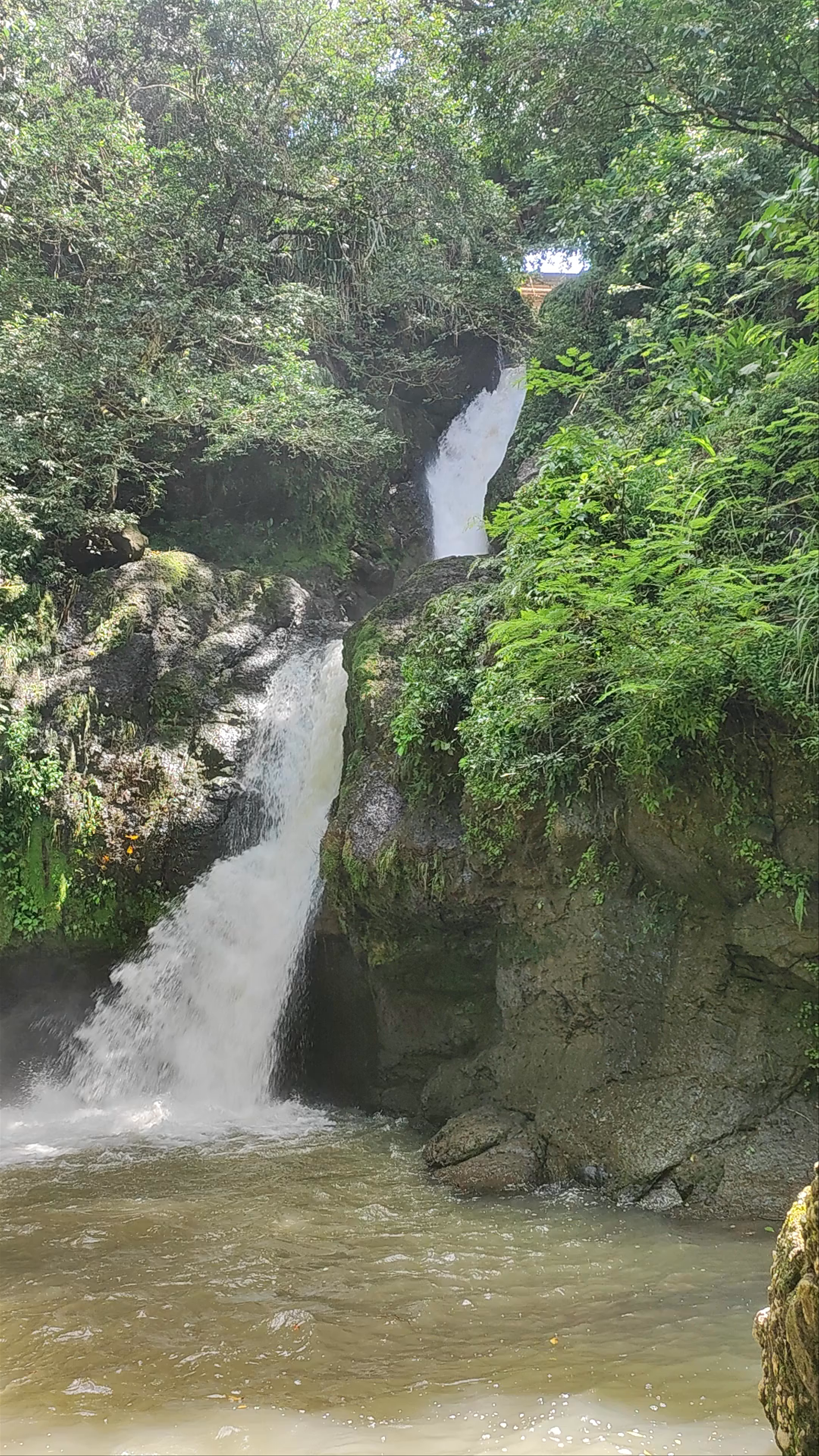 Restaurante Senderos