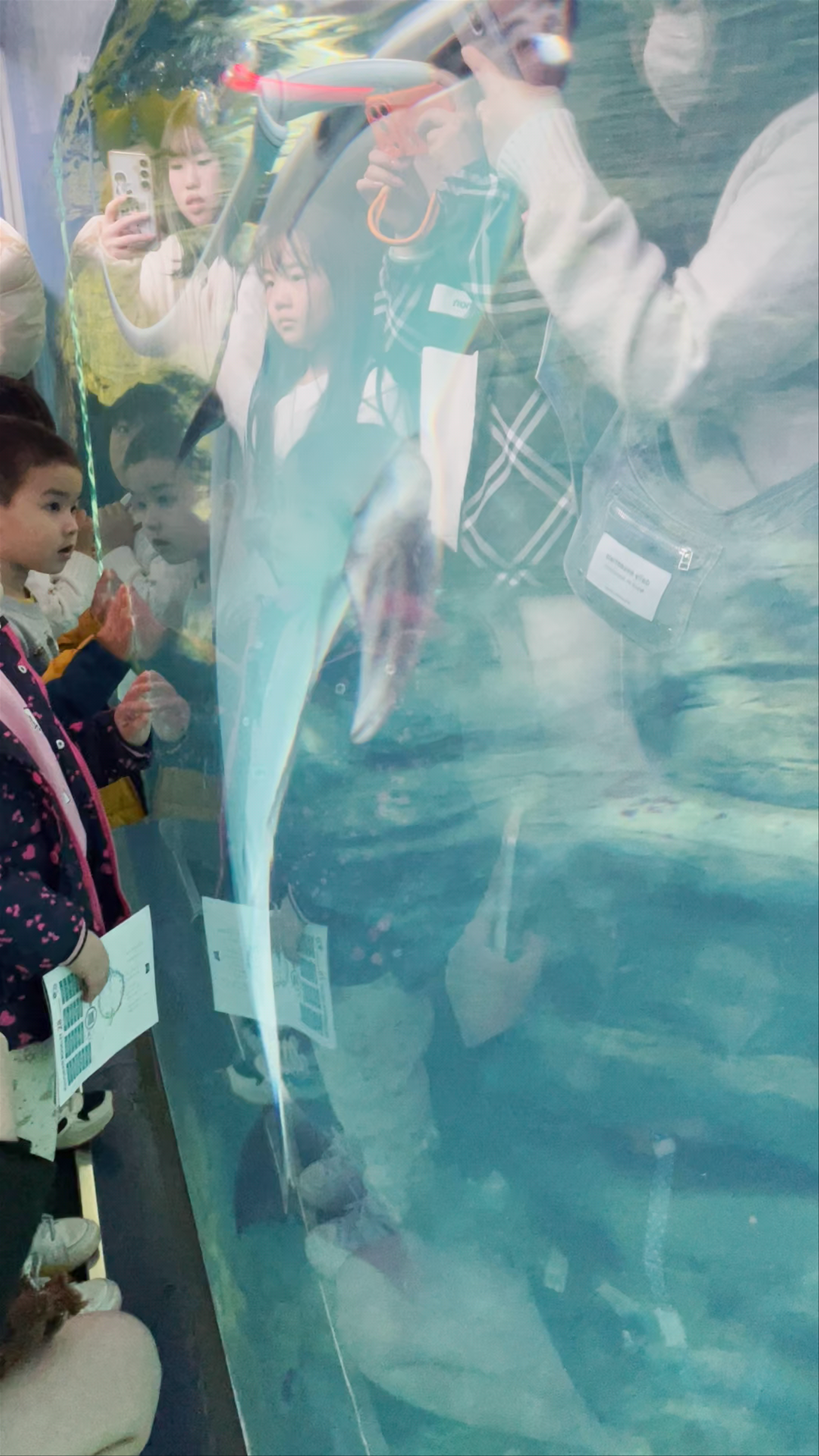 Osaka Aquarium
