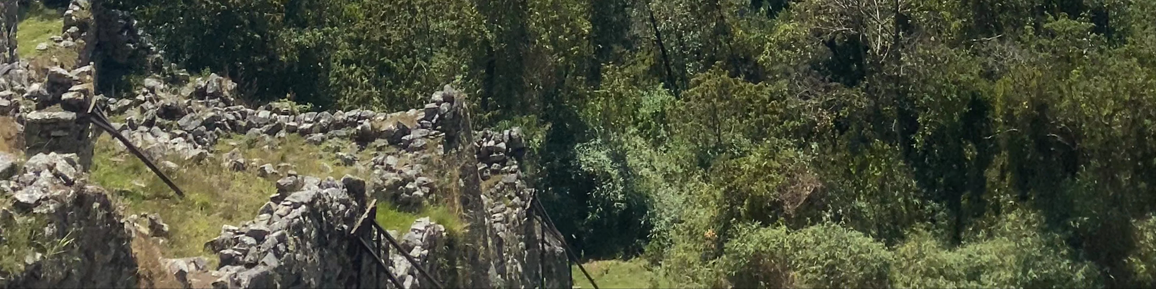 Machu Picchu
