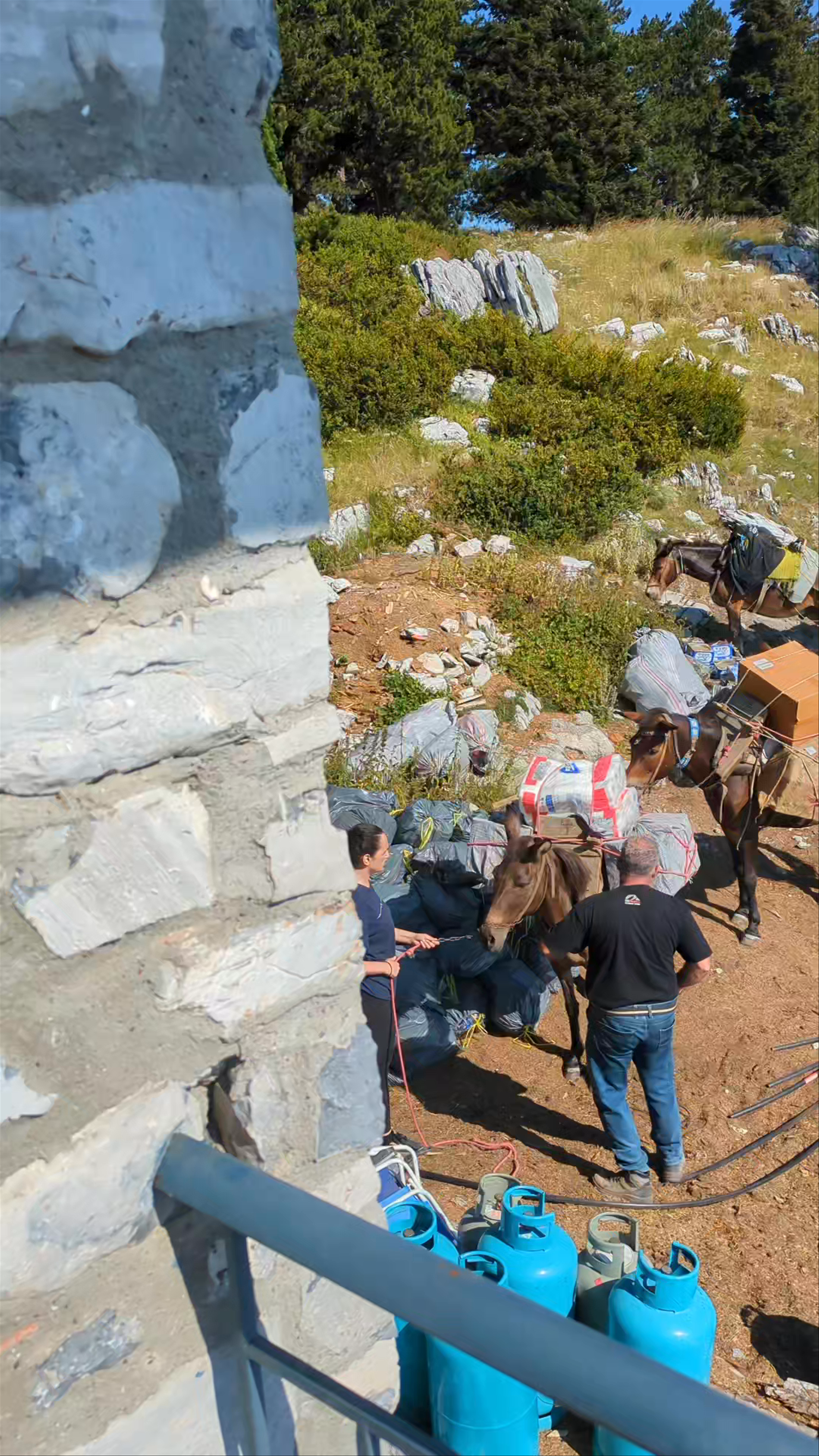 Mountain Life and Mule Trekking at Petrostrouga Refuge, Litochoro, Greece