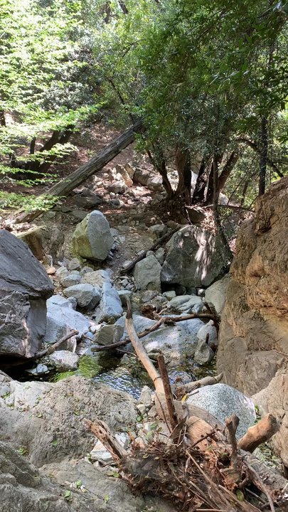 Dawn Mine Hike - Hiking Near Me - Altadena, California