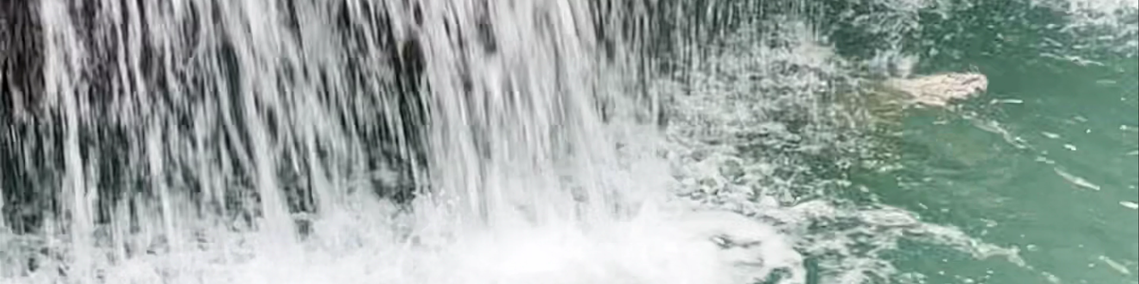 Kawasan Falls & Cave