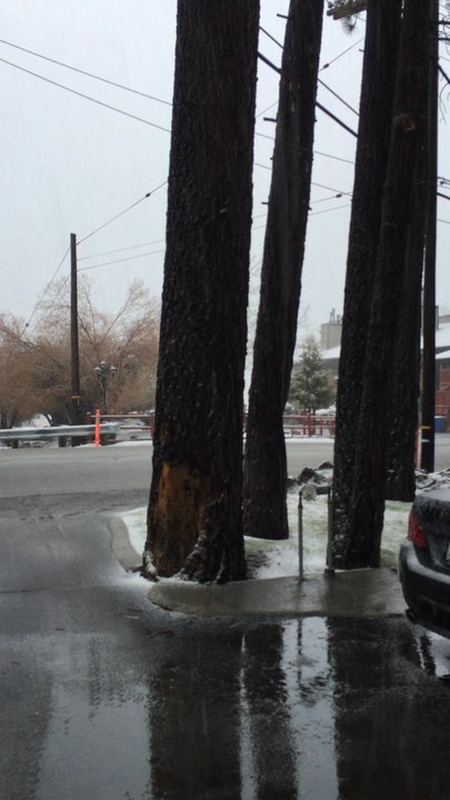 Big Bear Frontier - Snow.......:-) - Big Bear Lake, CA