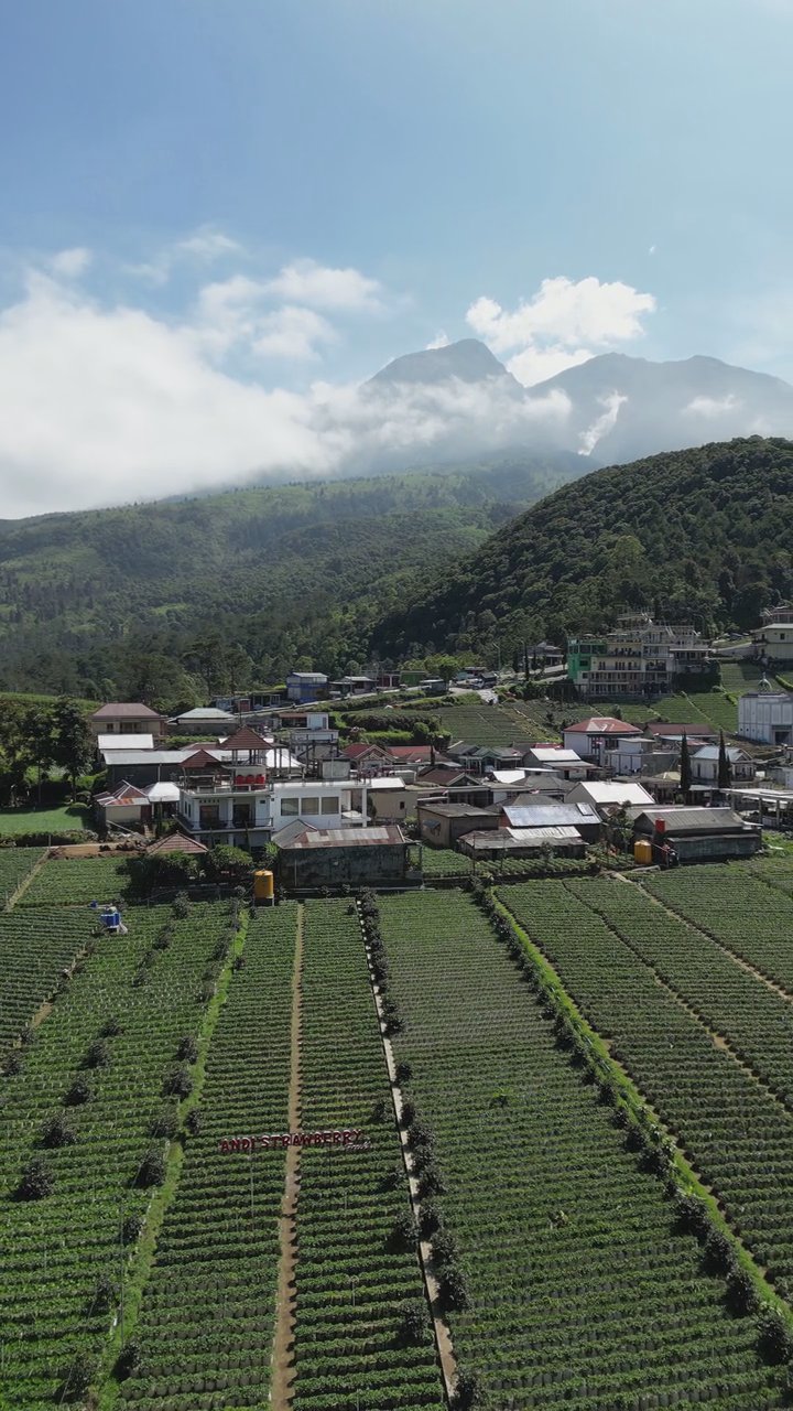 週末はここへ
🎥 just a hobby · Pexels
#日本 #旅行 #絶景 #風景 #japan