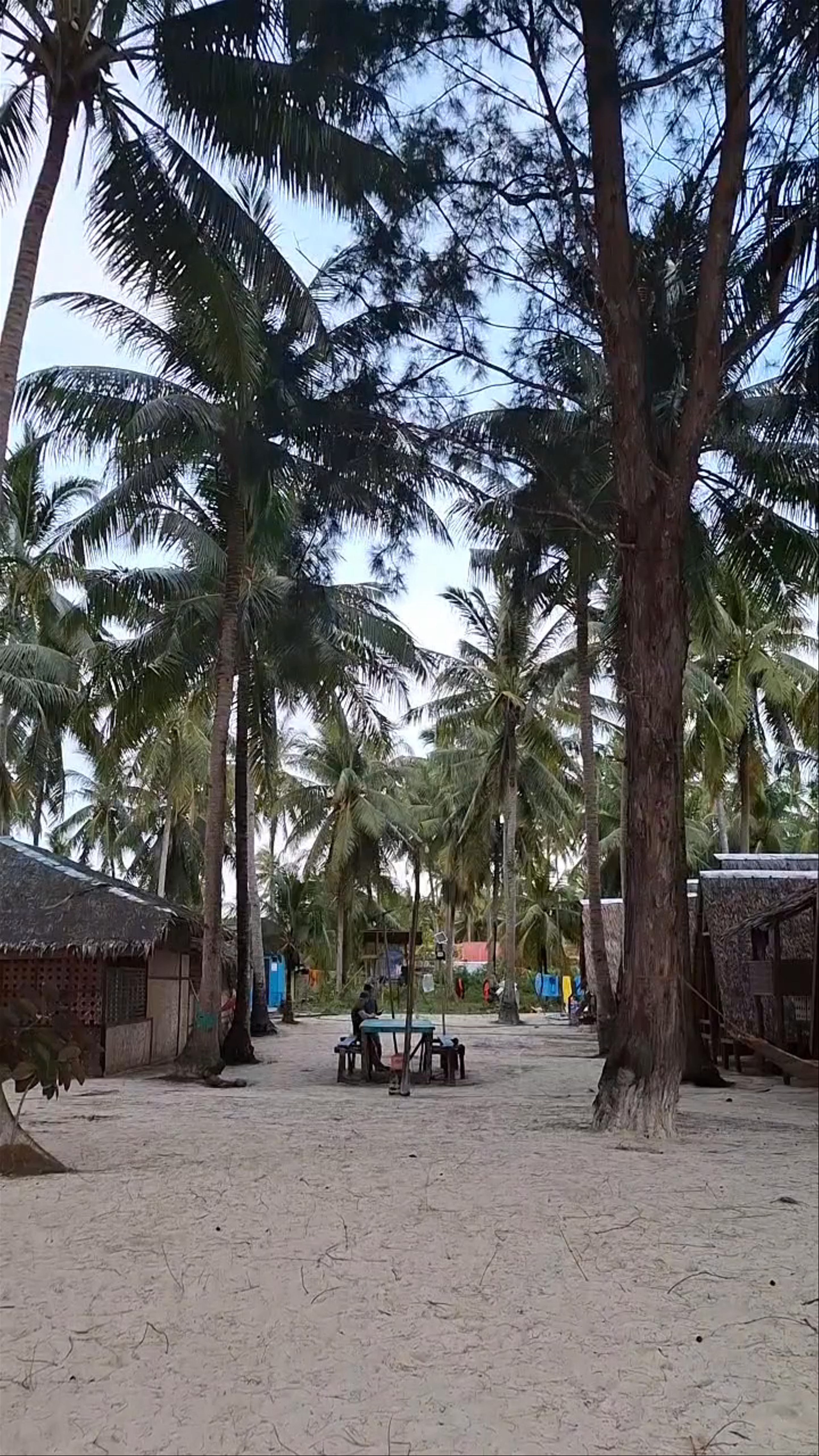 Sibaring Island Camp & Balabac Tour