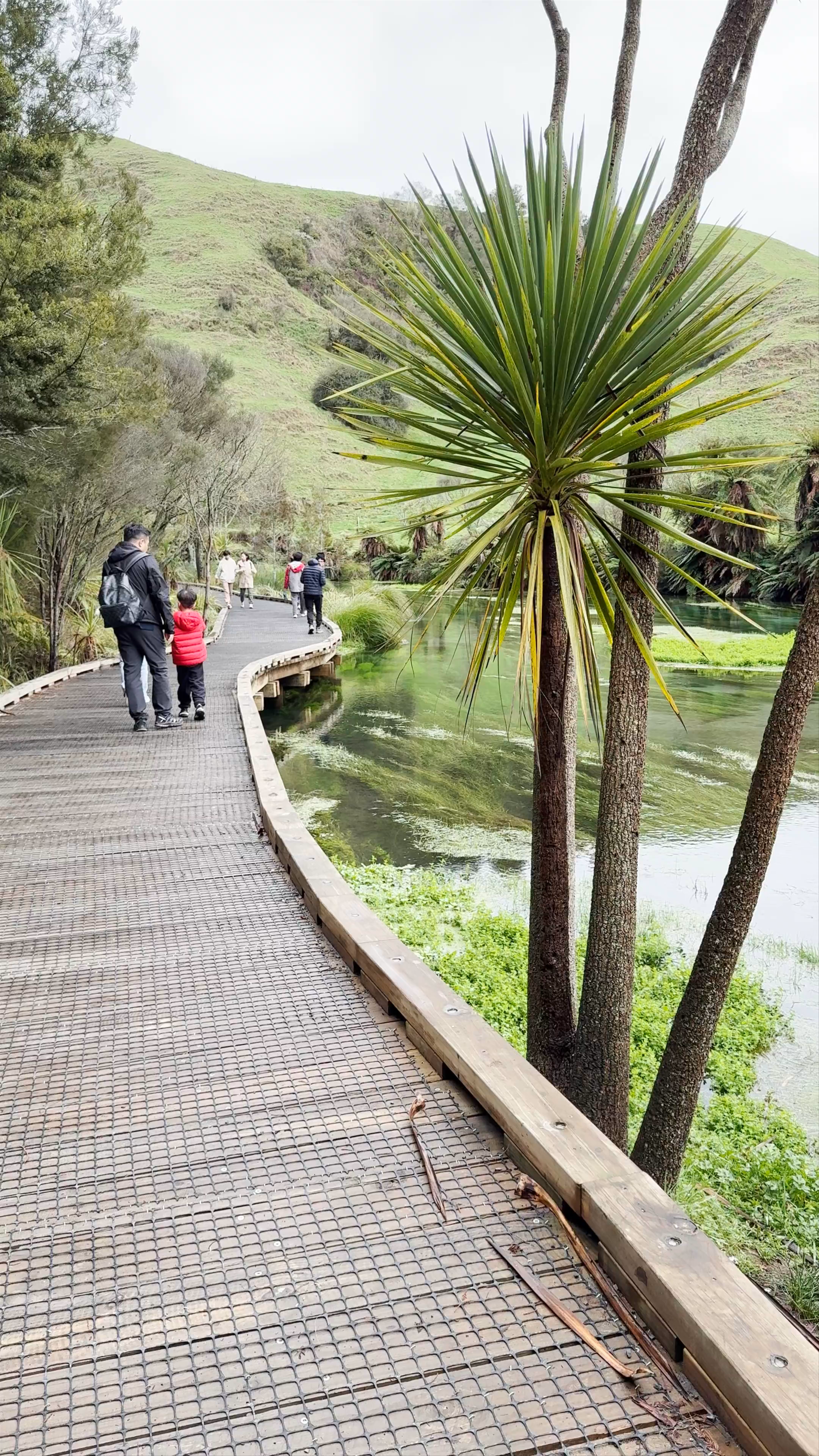 Blue Spring Leslie Road