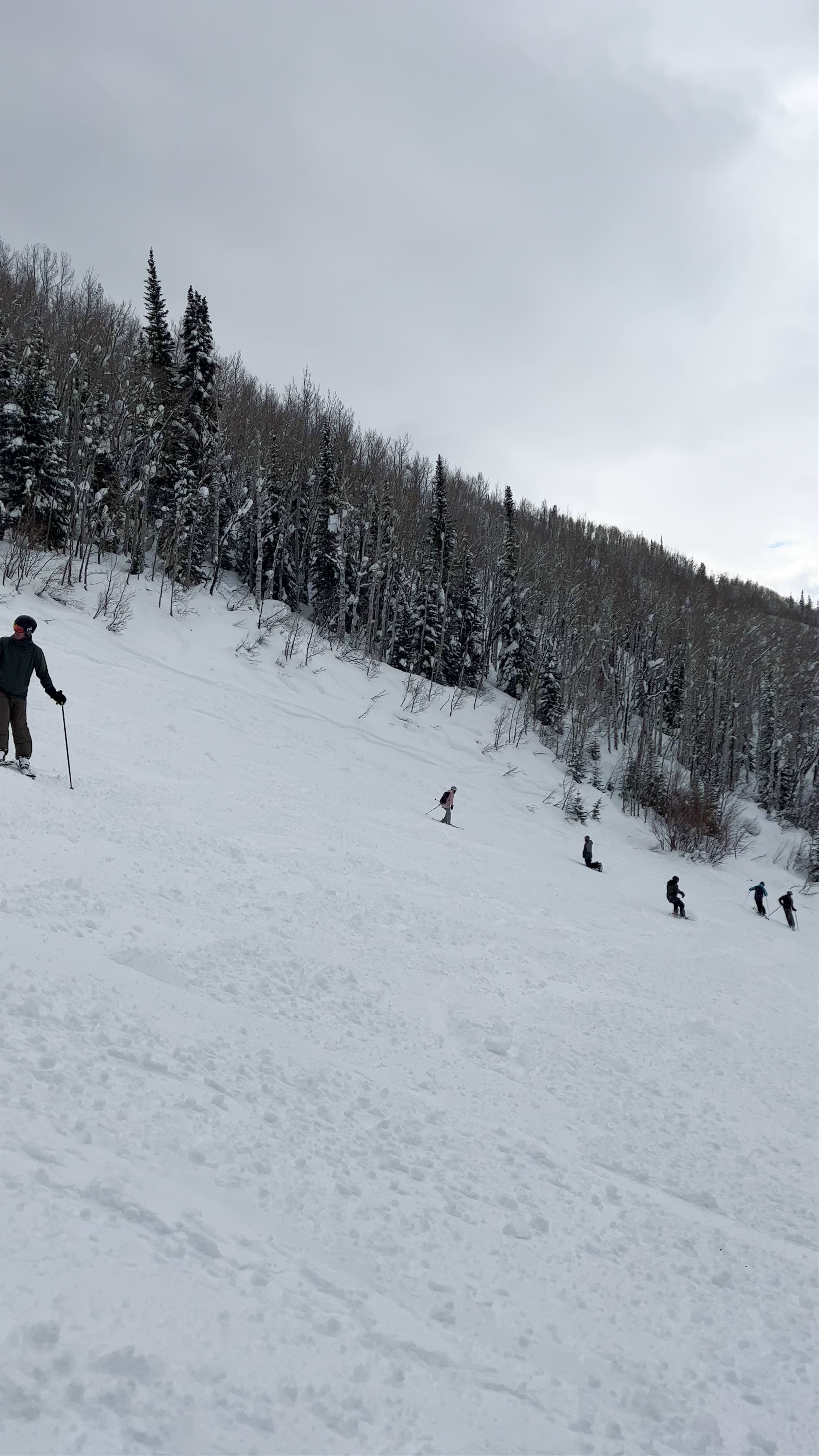Steamboat Ski Resort