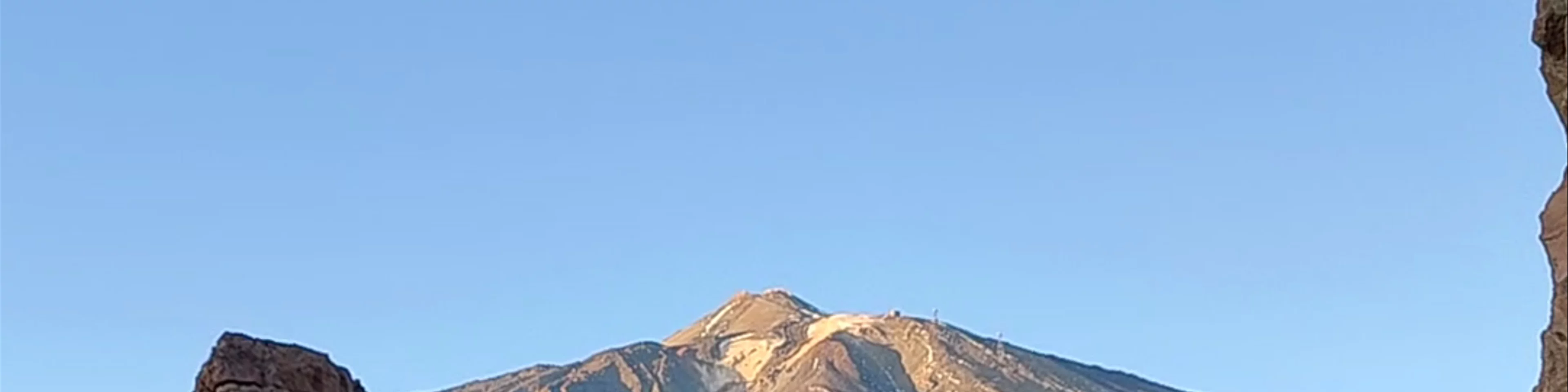 Roque Cinchado