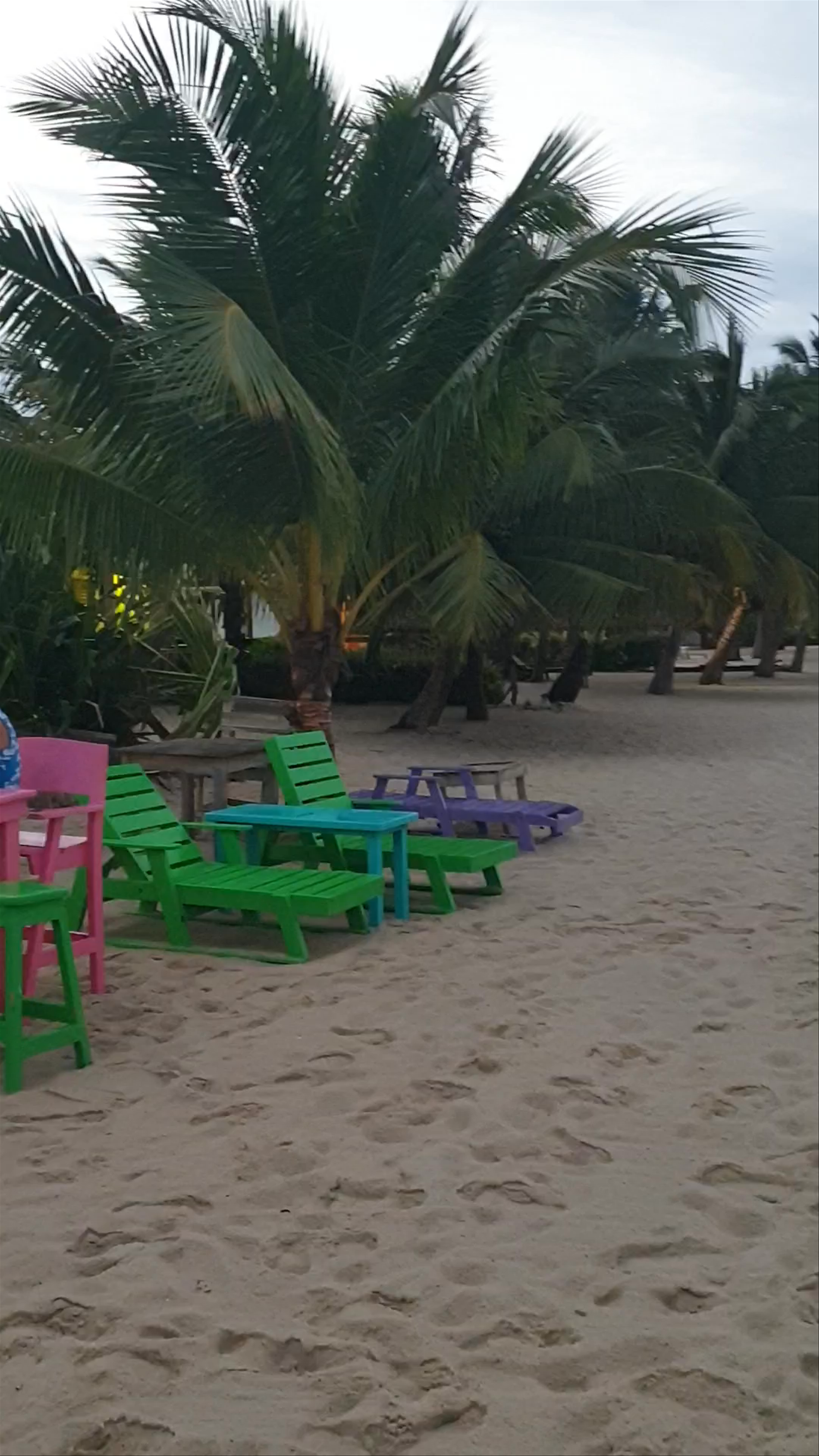 Barefoot Beach Bar