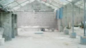 Converse X Sadboysgear video - © Suzie & Leo