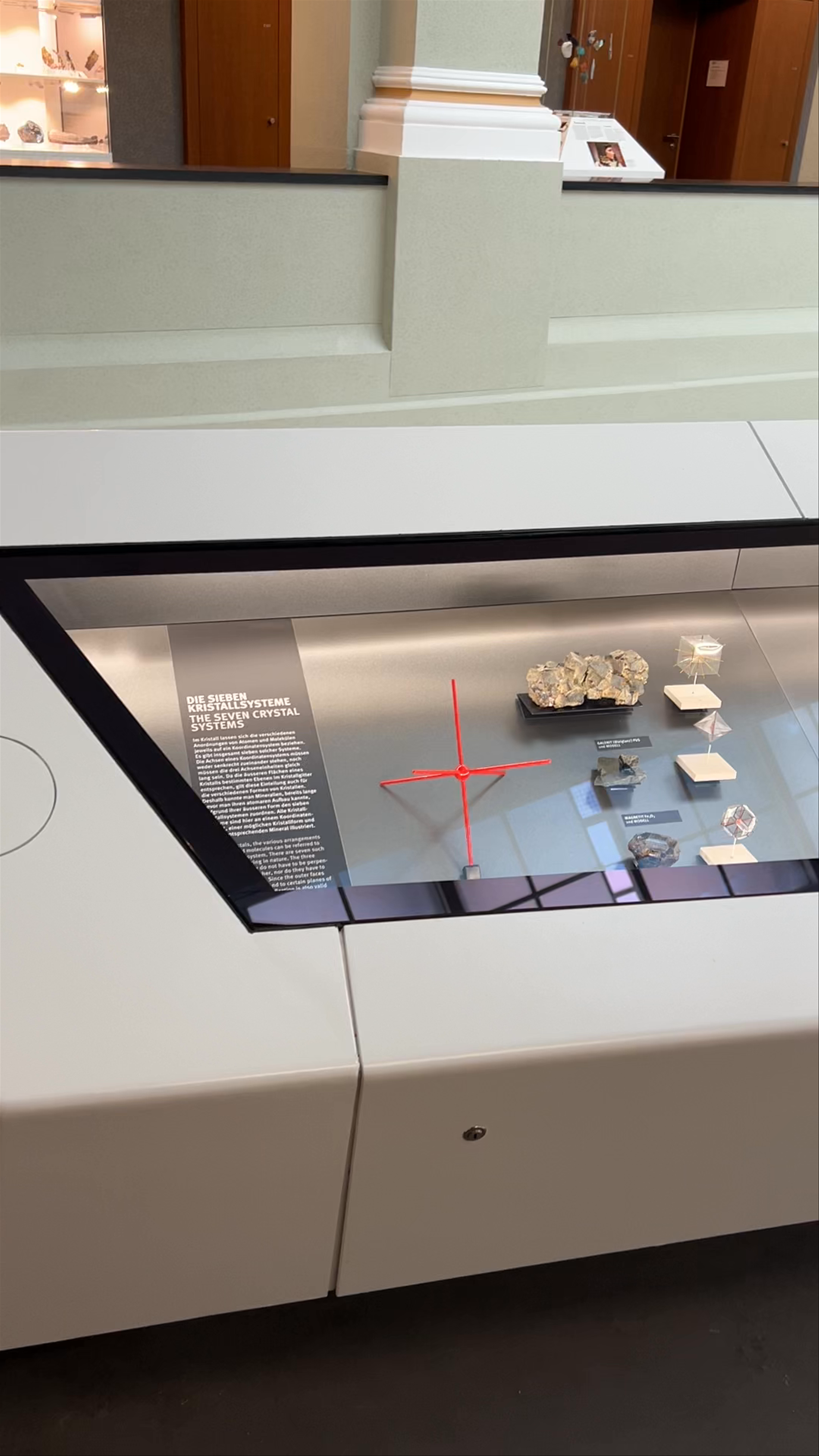 Palaeontological Museum of the University of Zurich