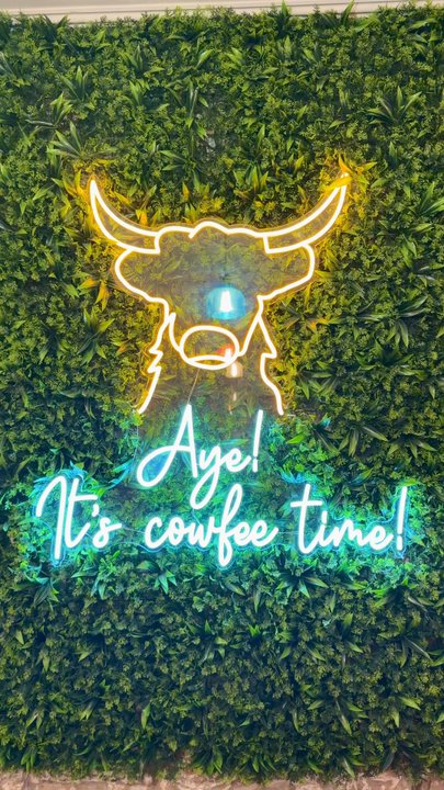 the ginger coo cafe - Coffee & Tea Near Me - Edinburgh, EDH
