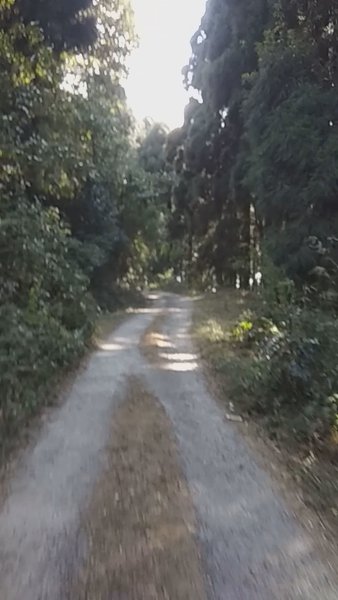Photo of Off roading Chatakpu