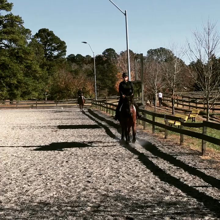Hidden Spring Farm - Thrilled to be back in the saddle again!  It's all about finding your bliss! - Horseback Riding Near Me - Knightdale, North Carolina